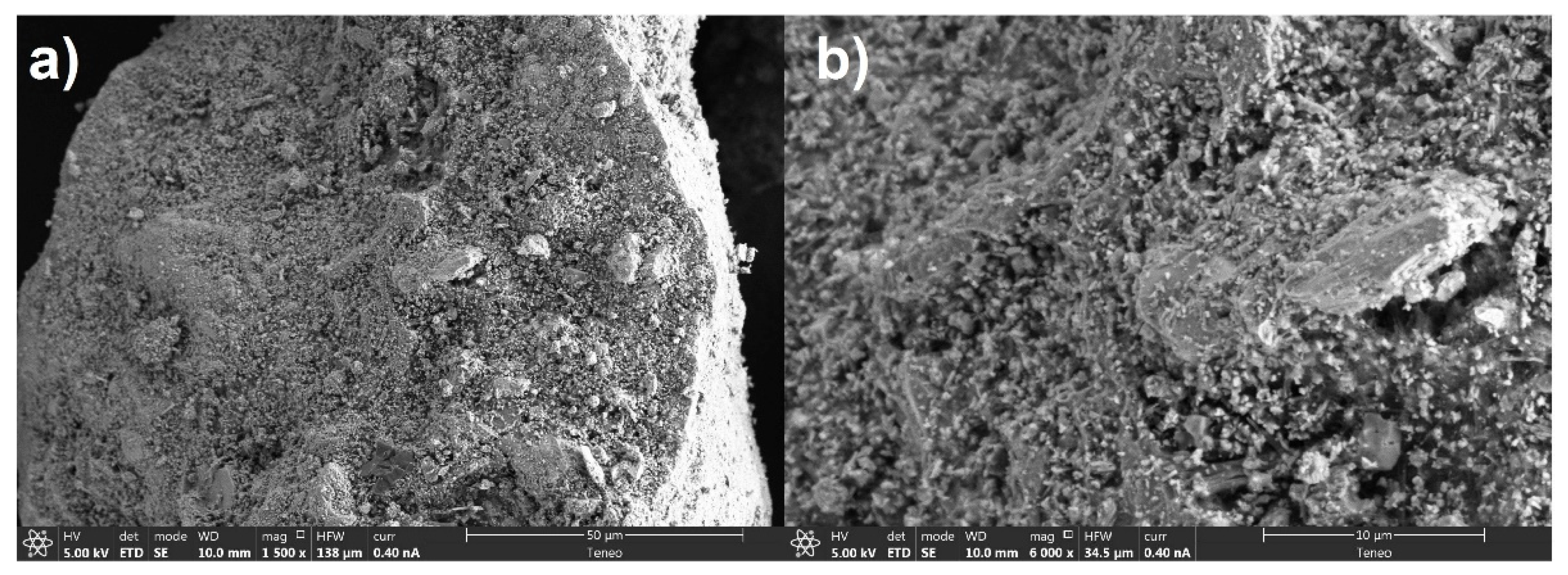 Materials 14 00782 g002 Materials 14 00782 g002