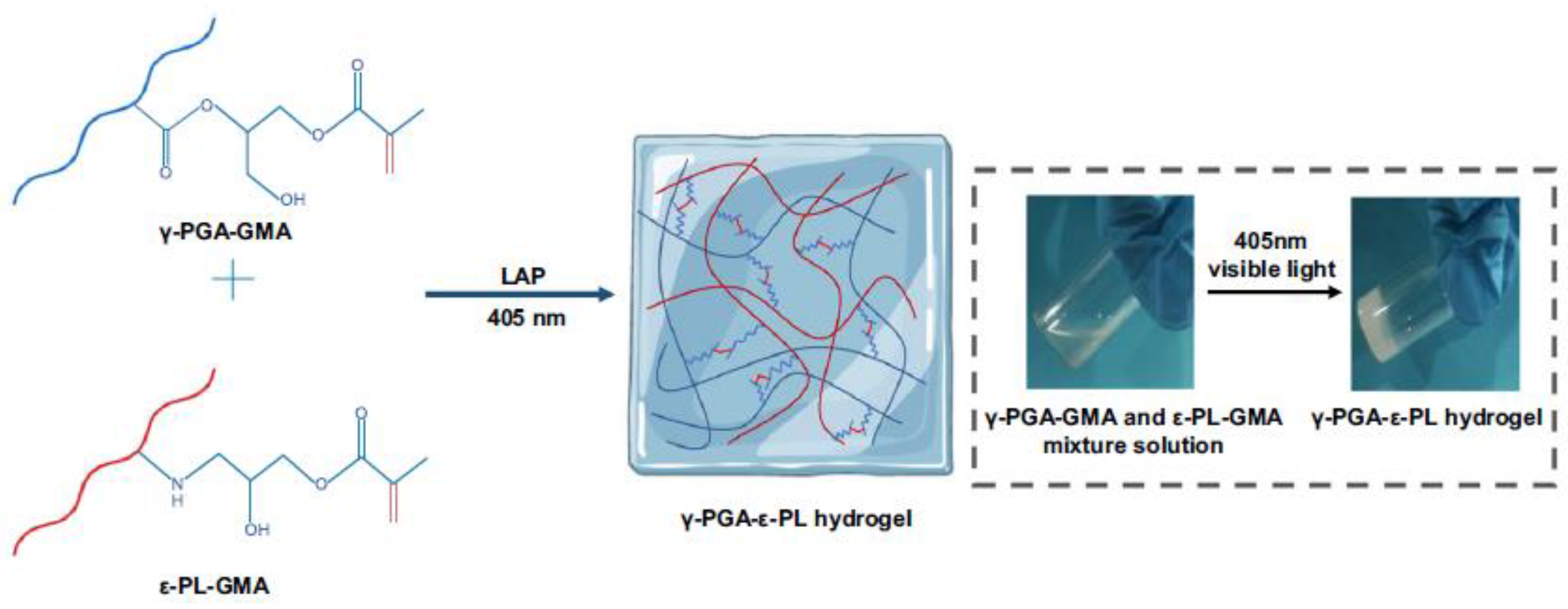 Materials 14 00787 g005 Materials 14 00787 g005