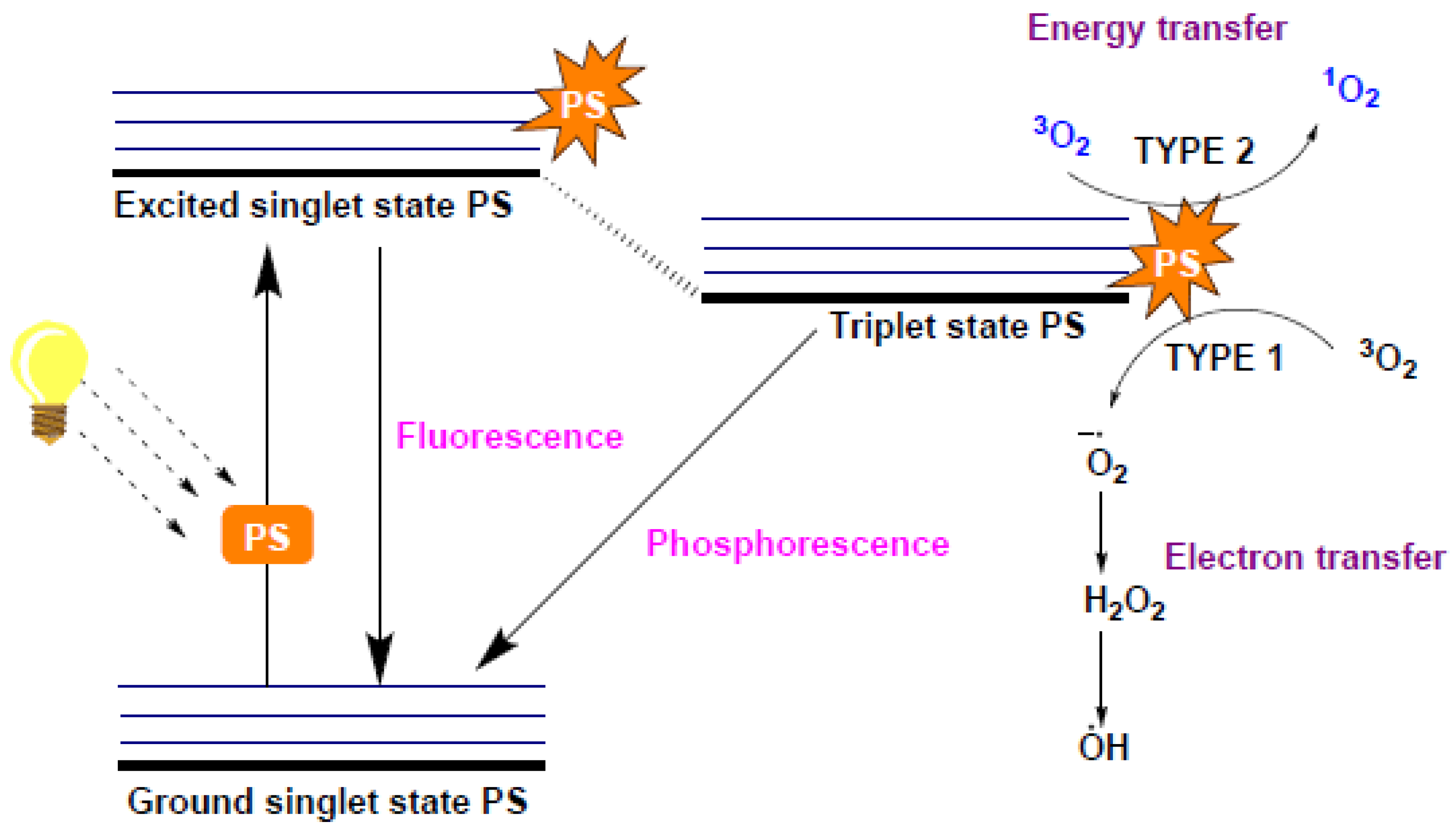 Materials 14 00787 g015 Materials 14 00787 g015