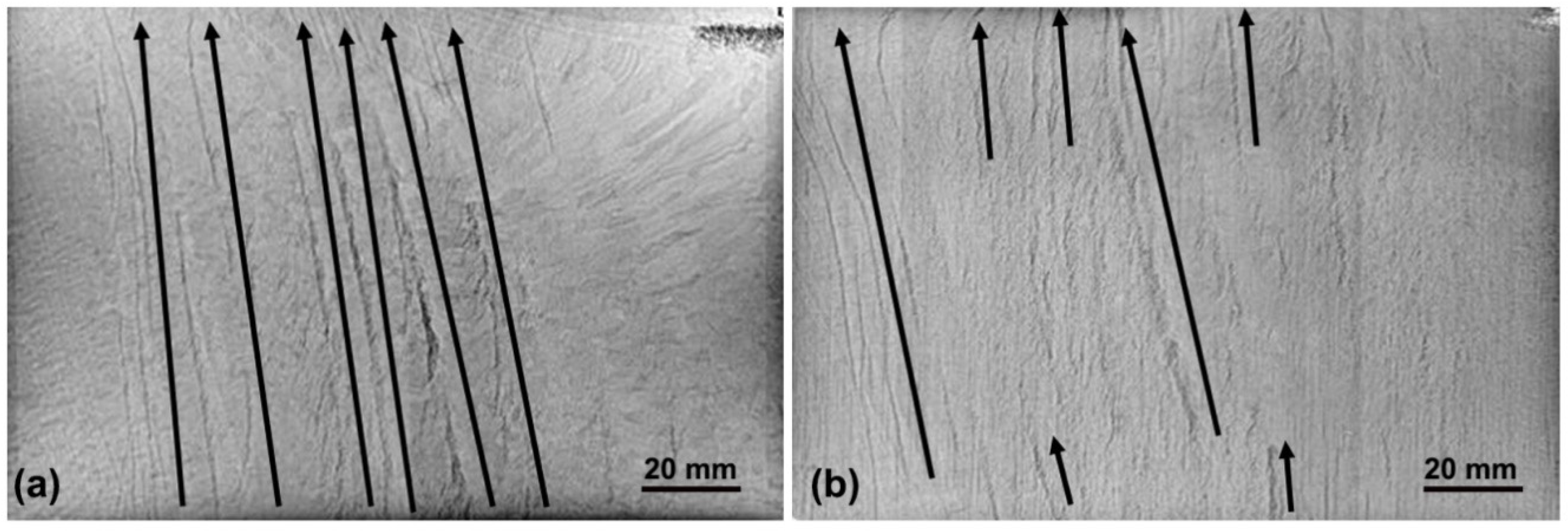 Materials 14 00796 g001