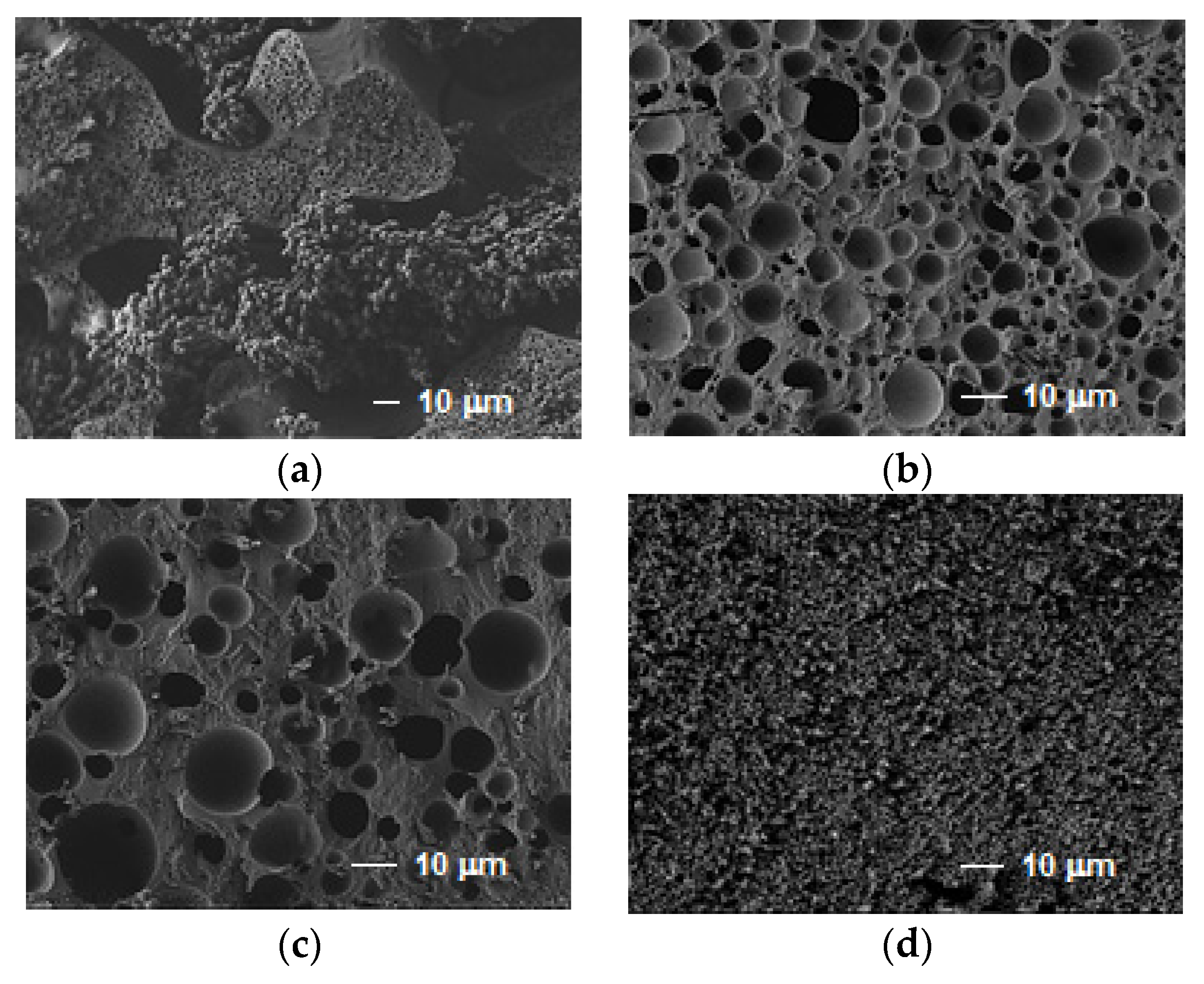 Materials 14 00800 g003 Materials 14 00800 g003