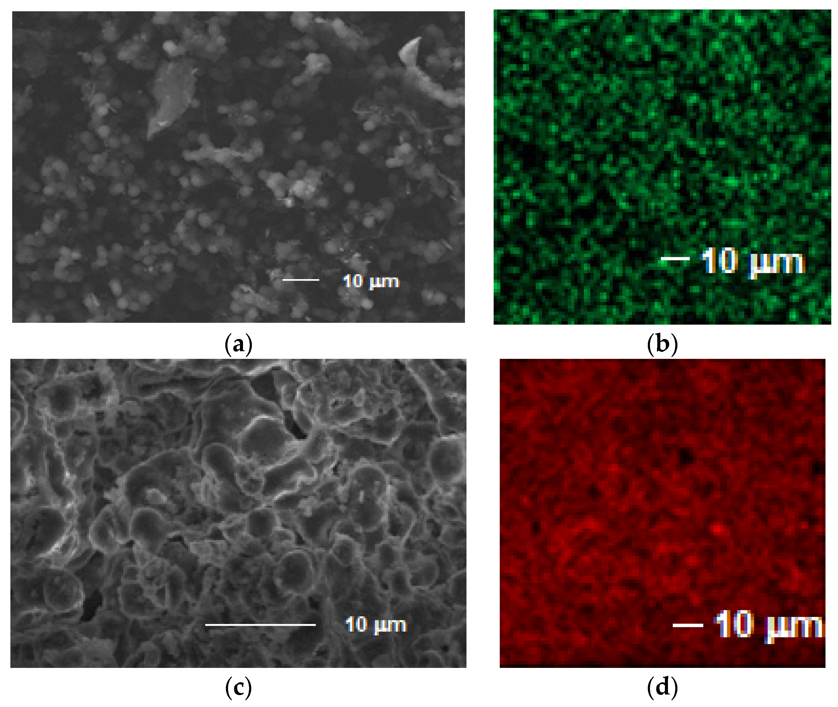 Materials 14 00800 g007 Materials 14 00800 g007