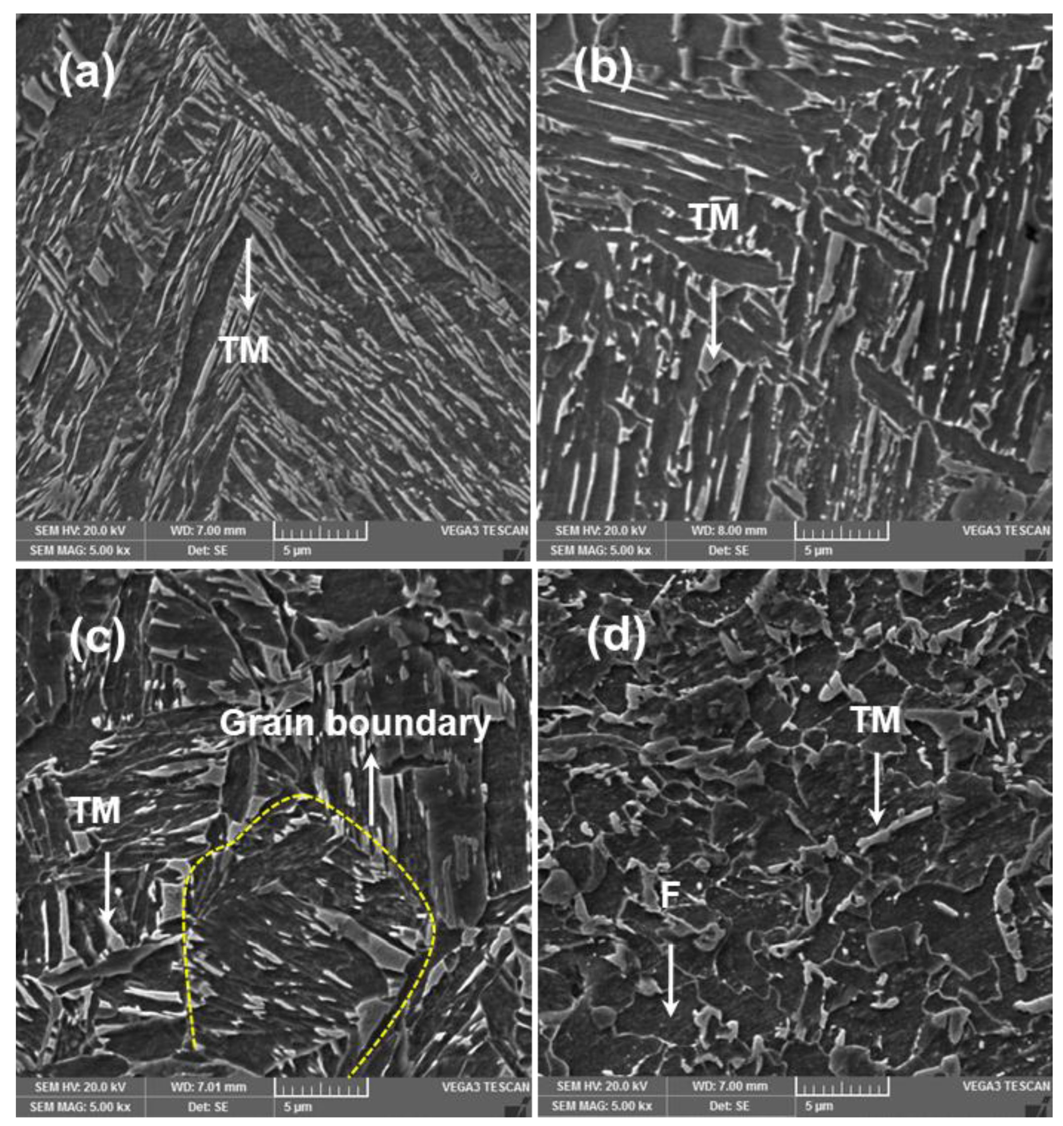 Materials 14 00802 g009
