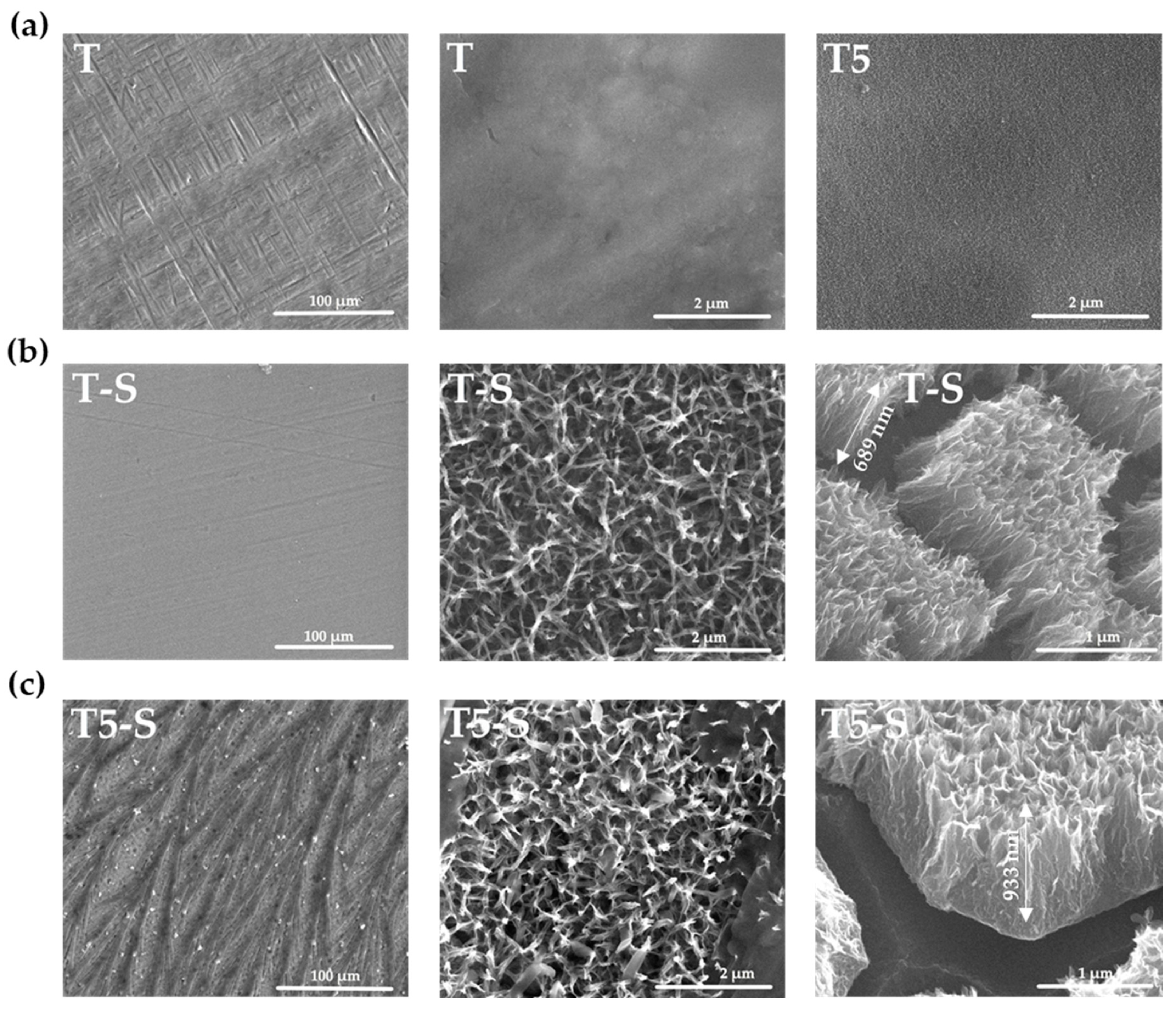 Materials 14 00806 g001