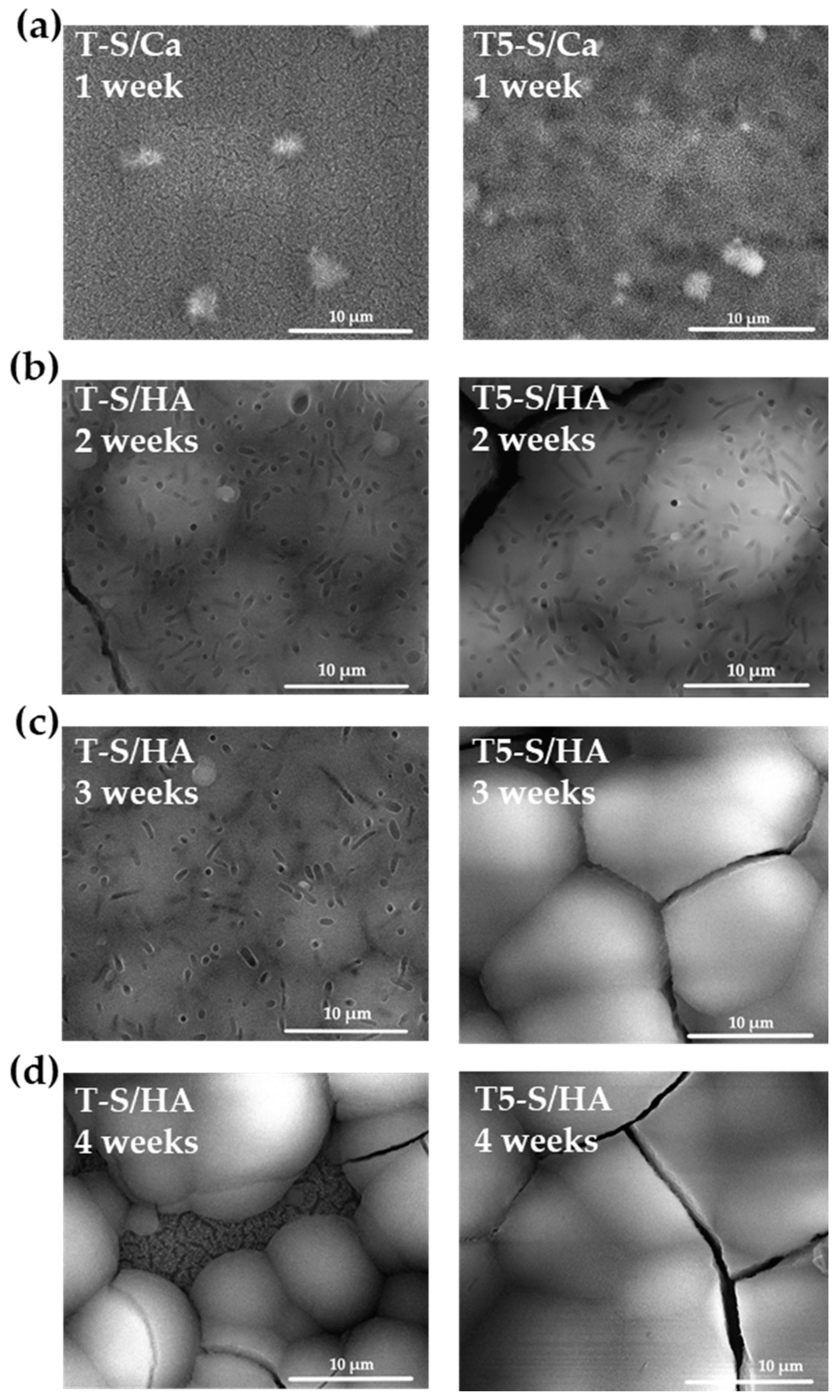 Materials 14 00806 g004