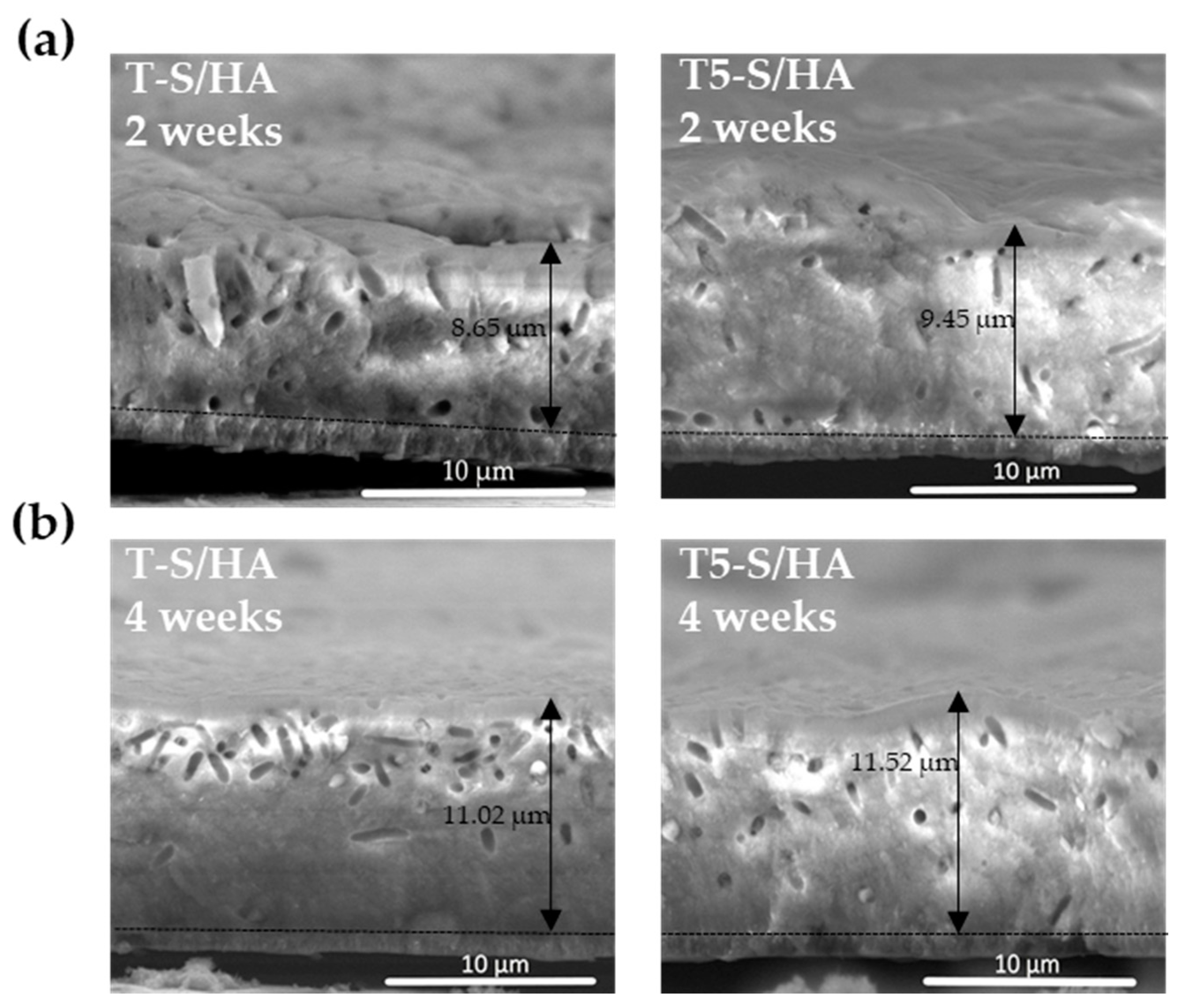 Materials 14 00806 g005