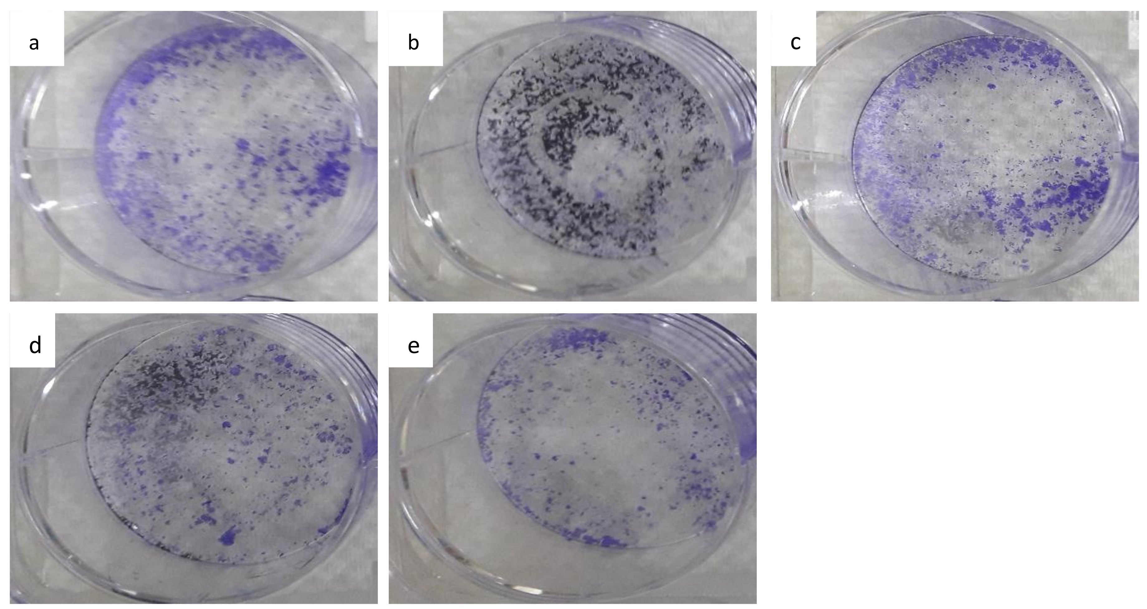 Materials 14 00817 g006 Materials 14 00817 g006