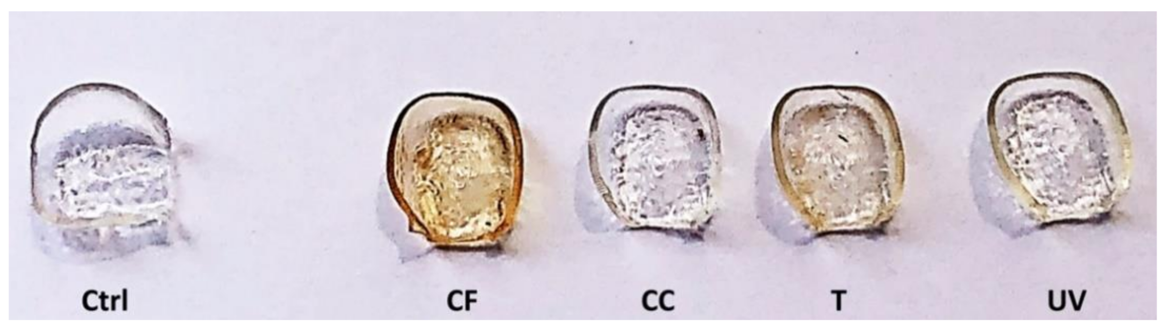 Materials 14 00818 g002
