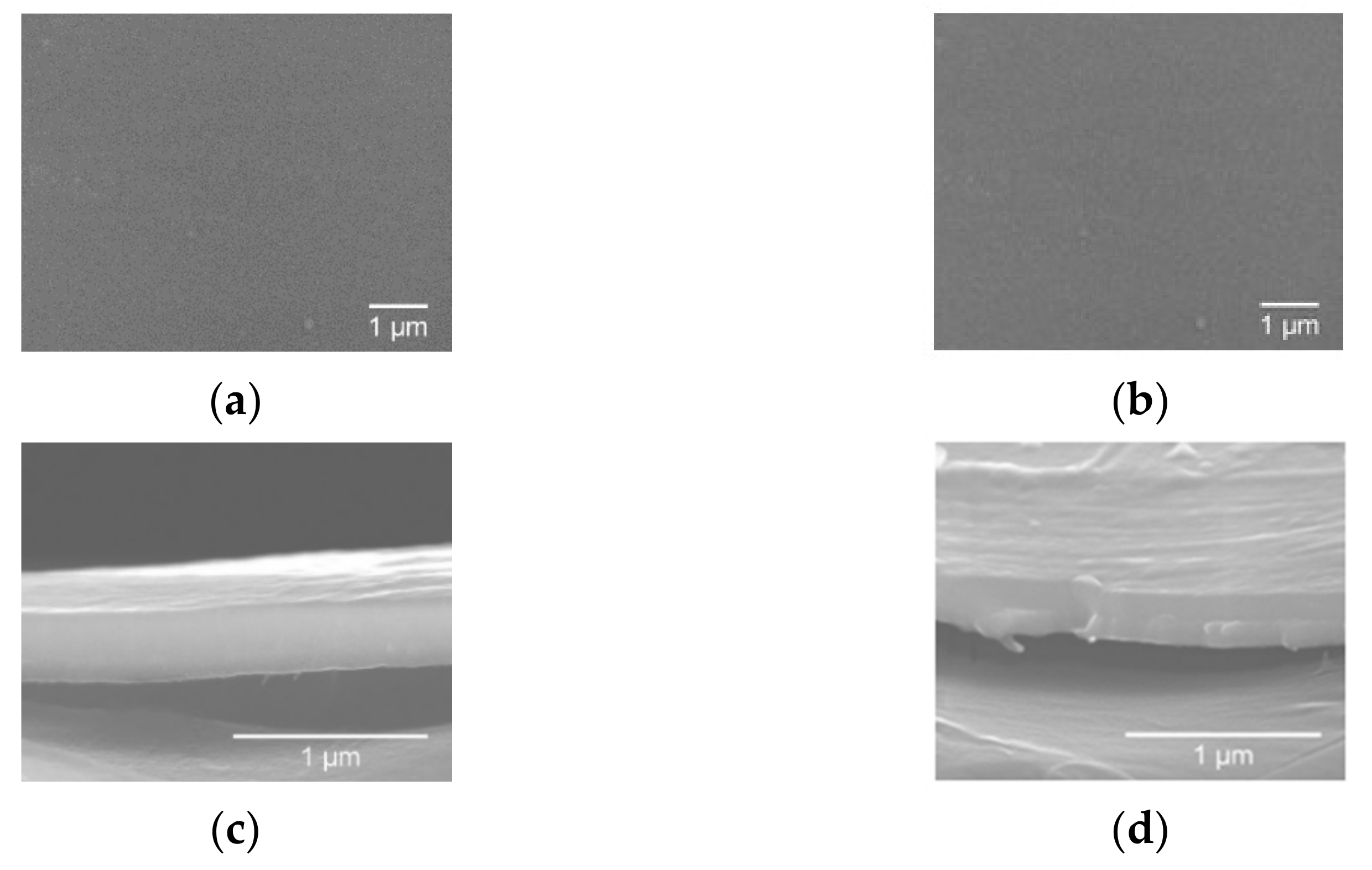 Materials 14 00821 g007