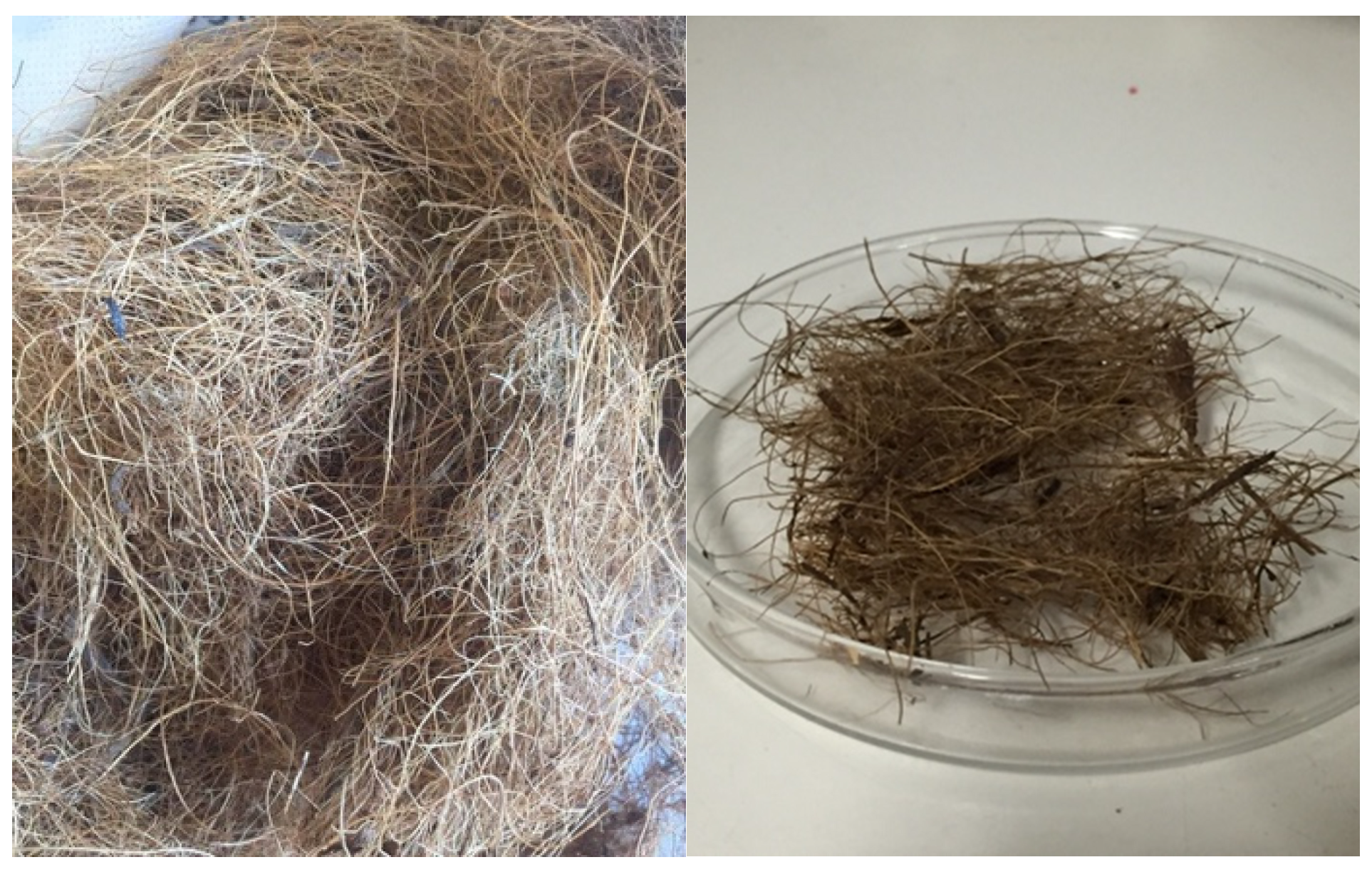 Materials 14 00823 g002 Materials 14 00823 g002