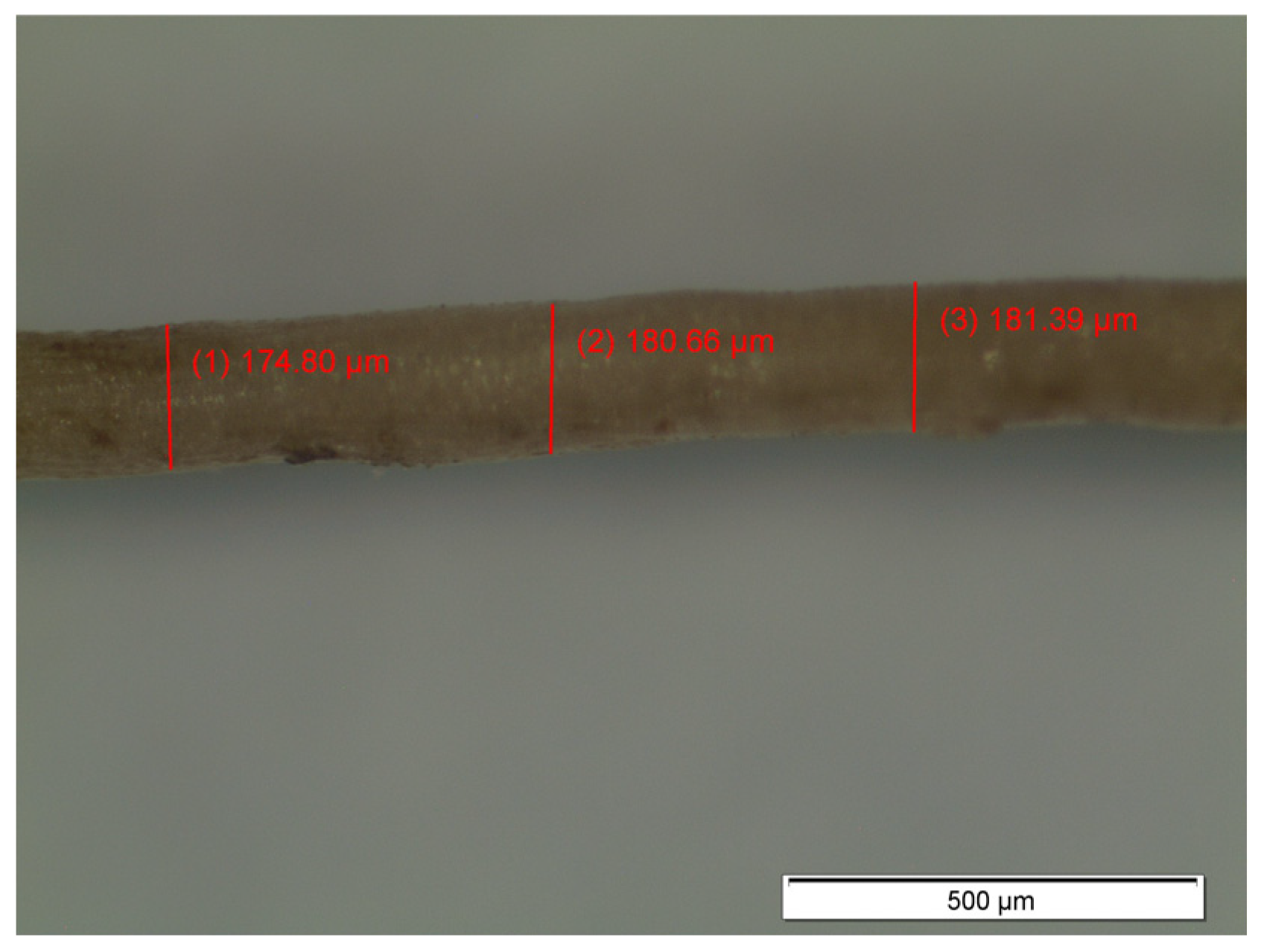 Materials 14 00823 g003 Materials 14 00823 g003