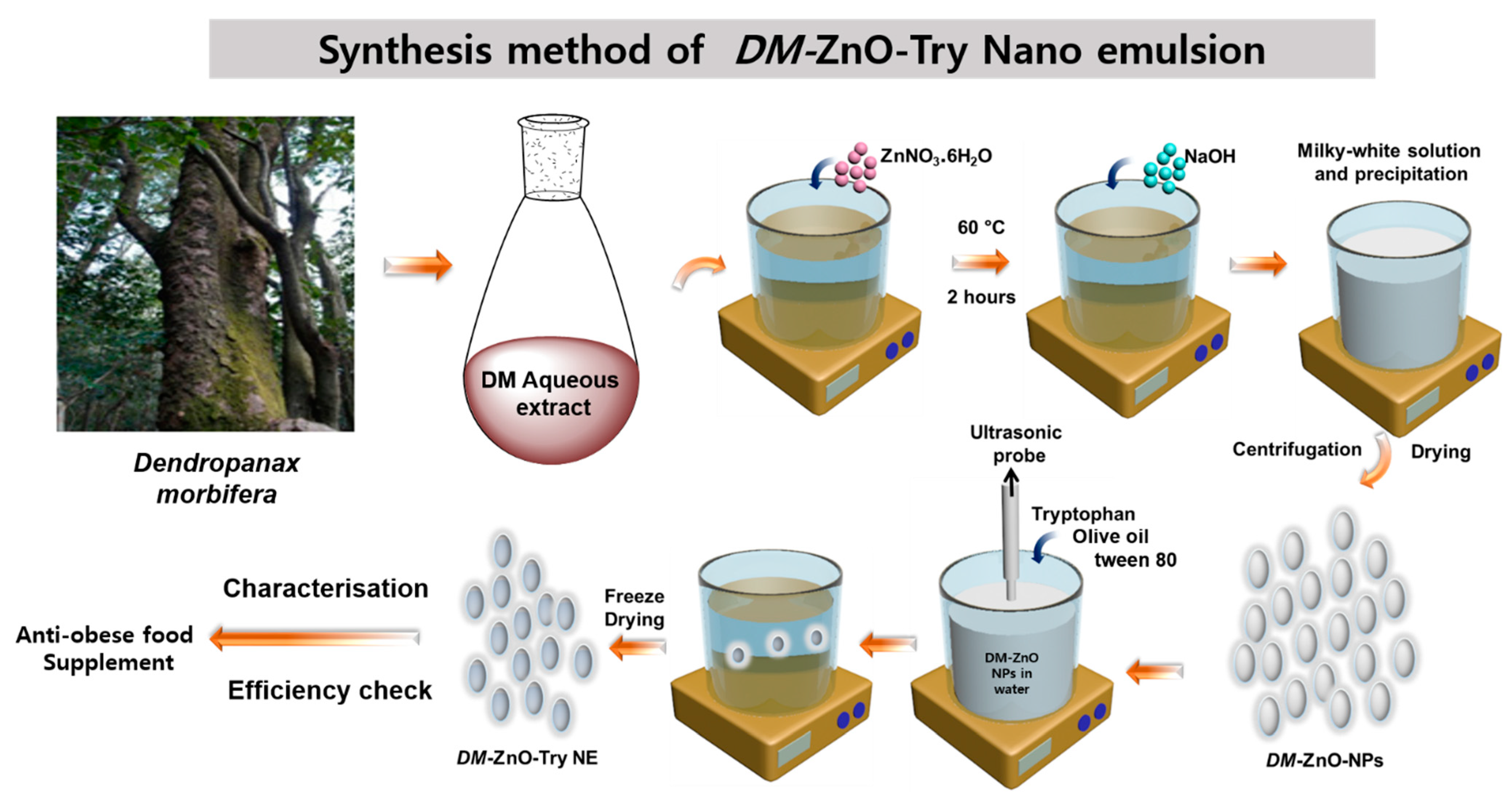 Materials 14 00824 g001 Materials 14 00824 g001