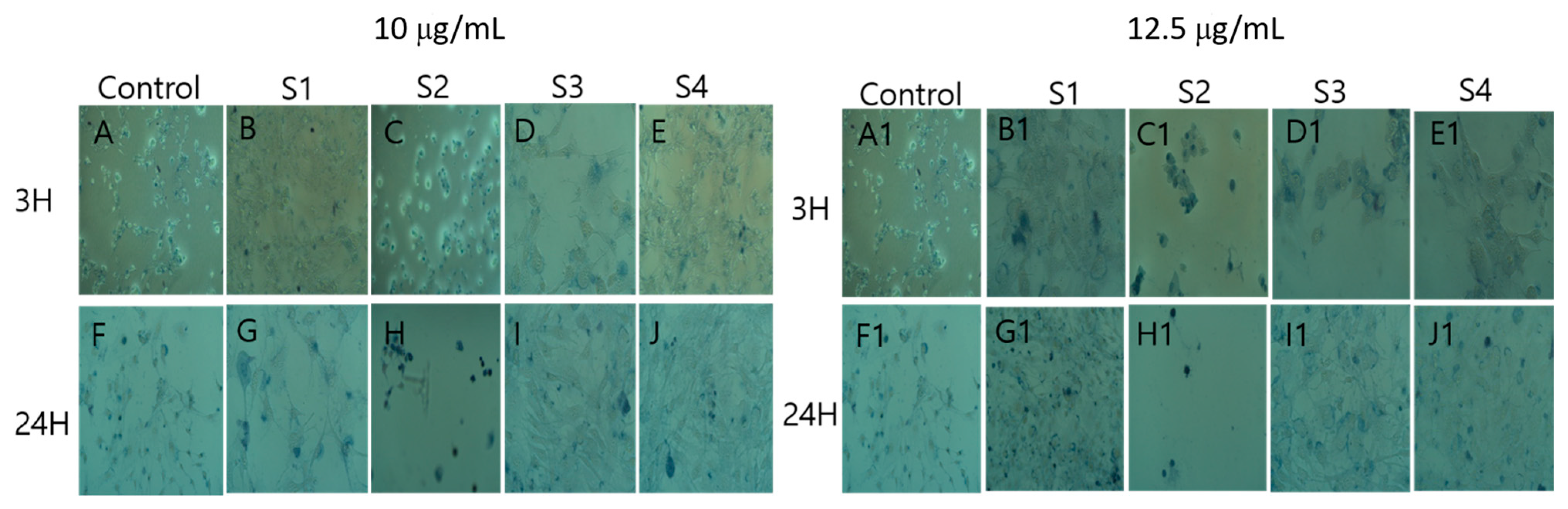 Materials 14 00824 g009 Materials 14 00824 g009