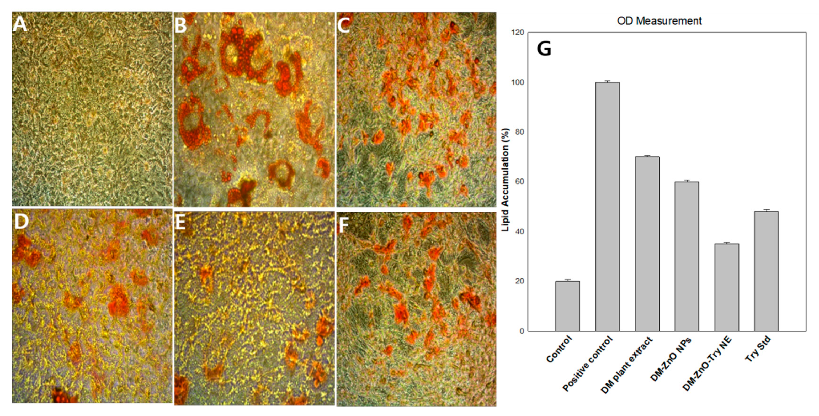 Materials 14 00824 g010 Materials 14 00824 g010