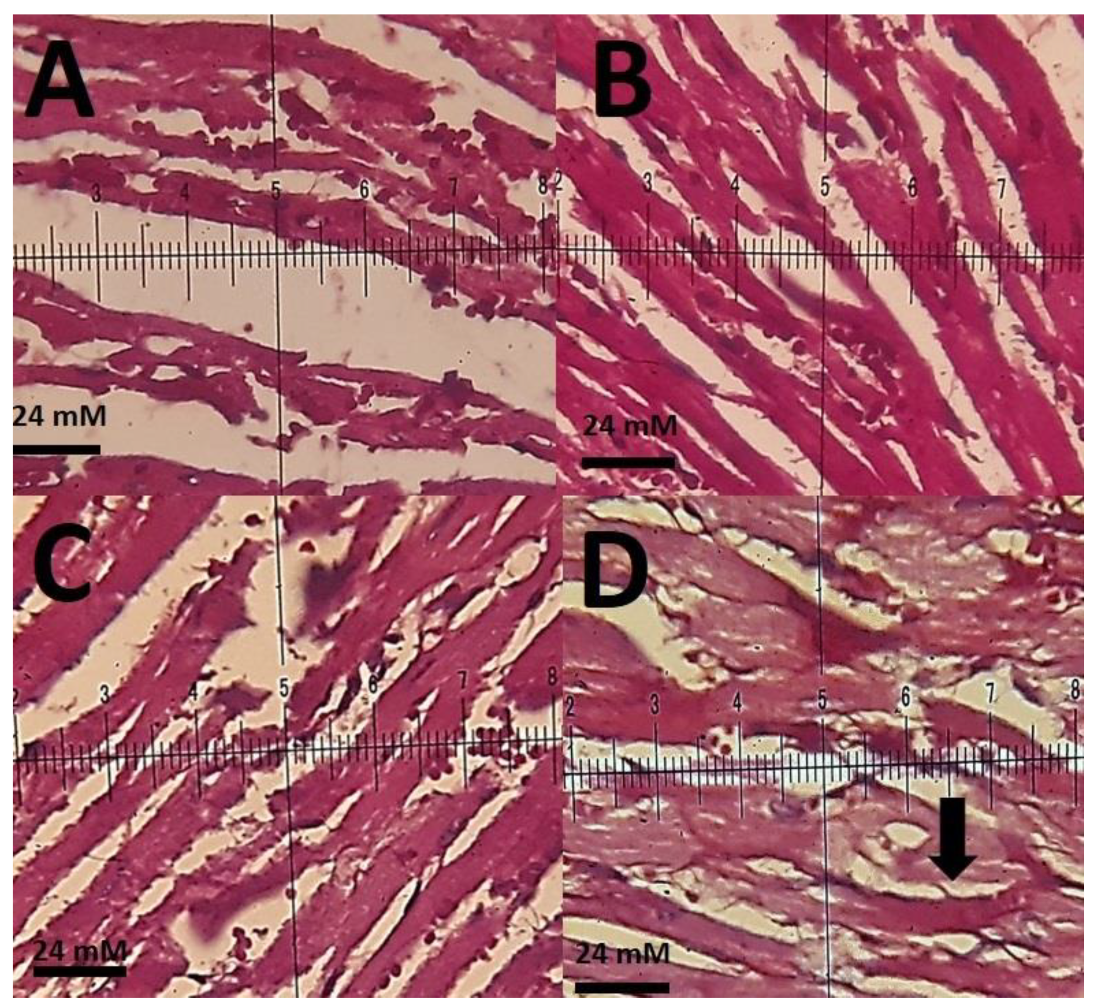 Materials 14 00825 g010 Materials 14 00825 g010