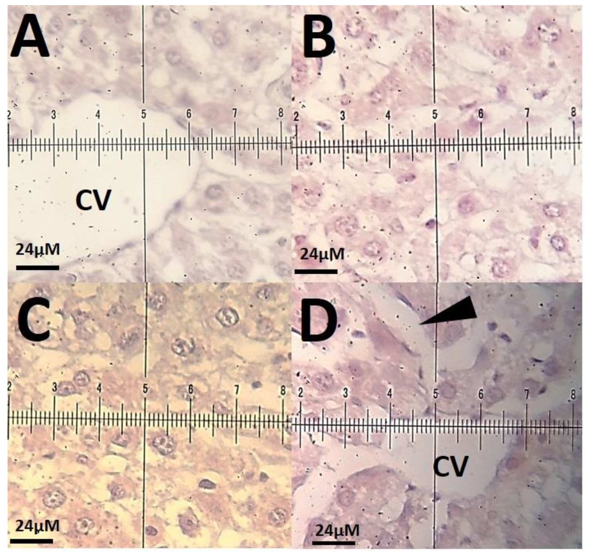 Materials 14 00825 g011 Materials 14 00825 g011