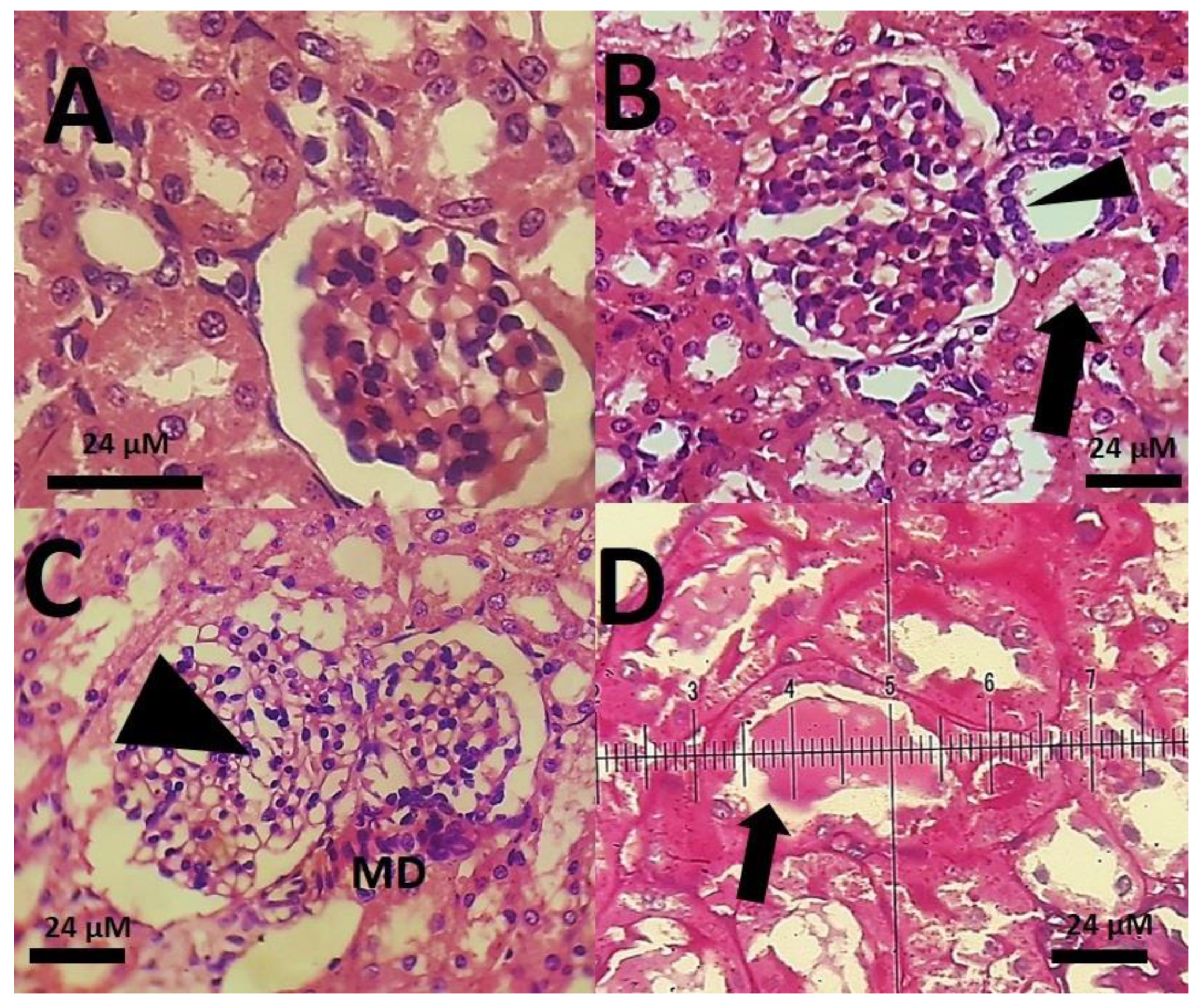 Materials 14 00825 g012 Materials 14 00825 g012