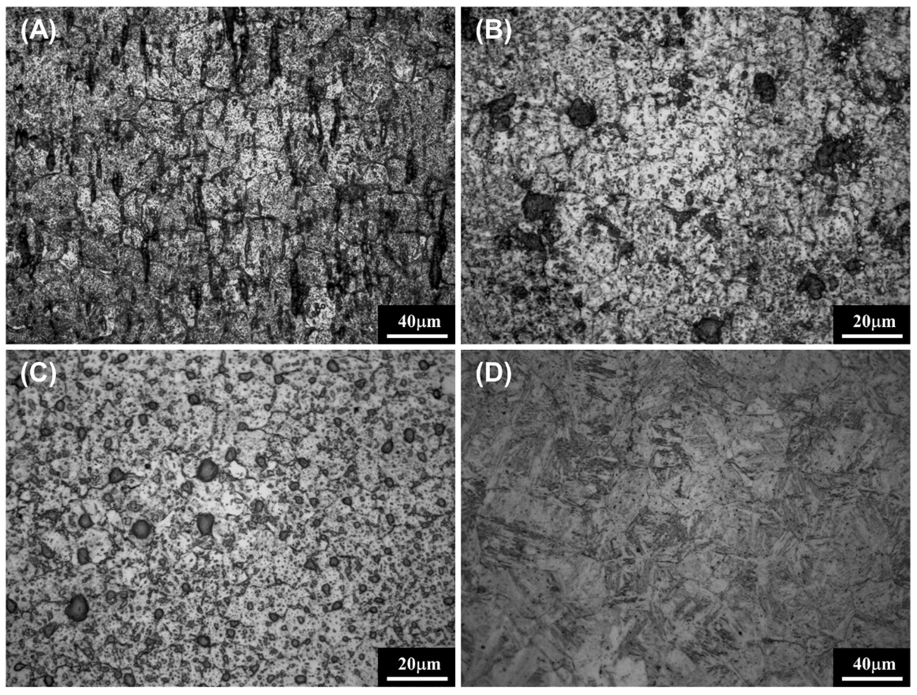 Materials 14 00827 g010 Materials 14 00827 g010