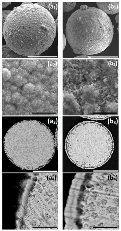 Materials 14 00834 g006 Materials 14 00834 g006