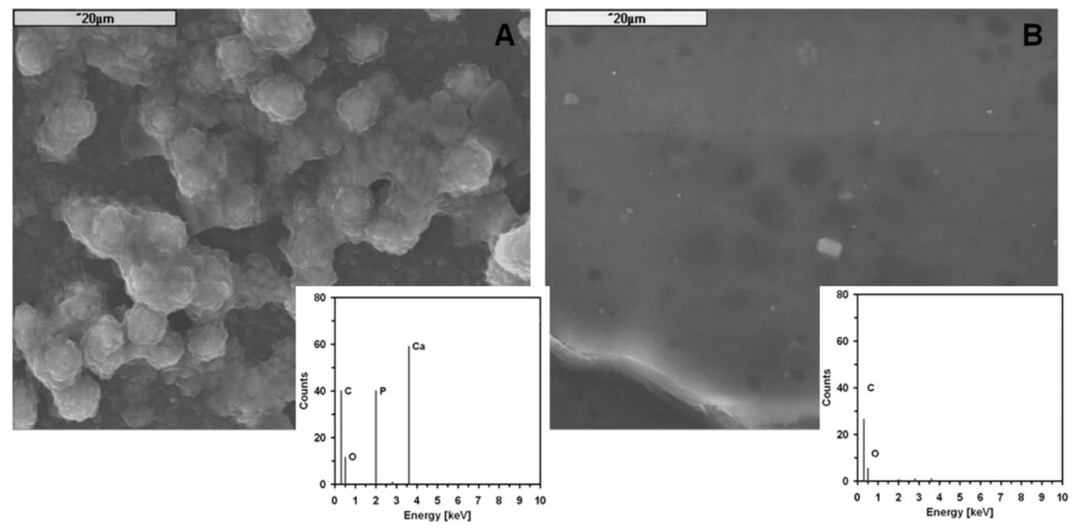 Materials 14 00843 g006 Materials 14 00843 g006