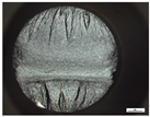 Materials 14 00856 i007 Materials 14 00856 i007