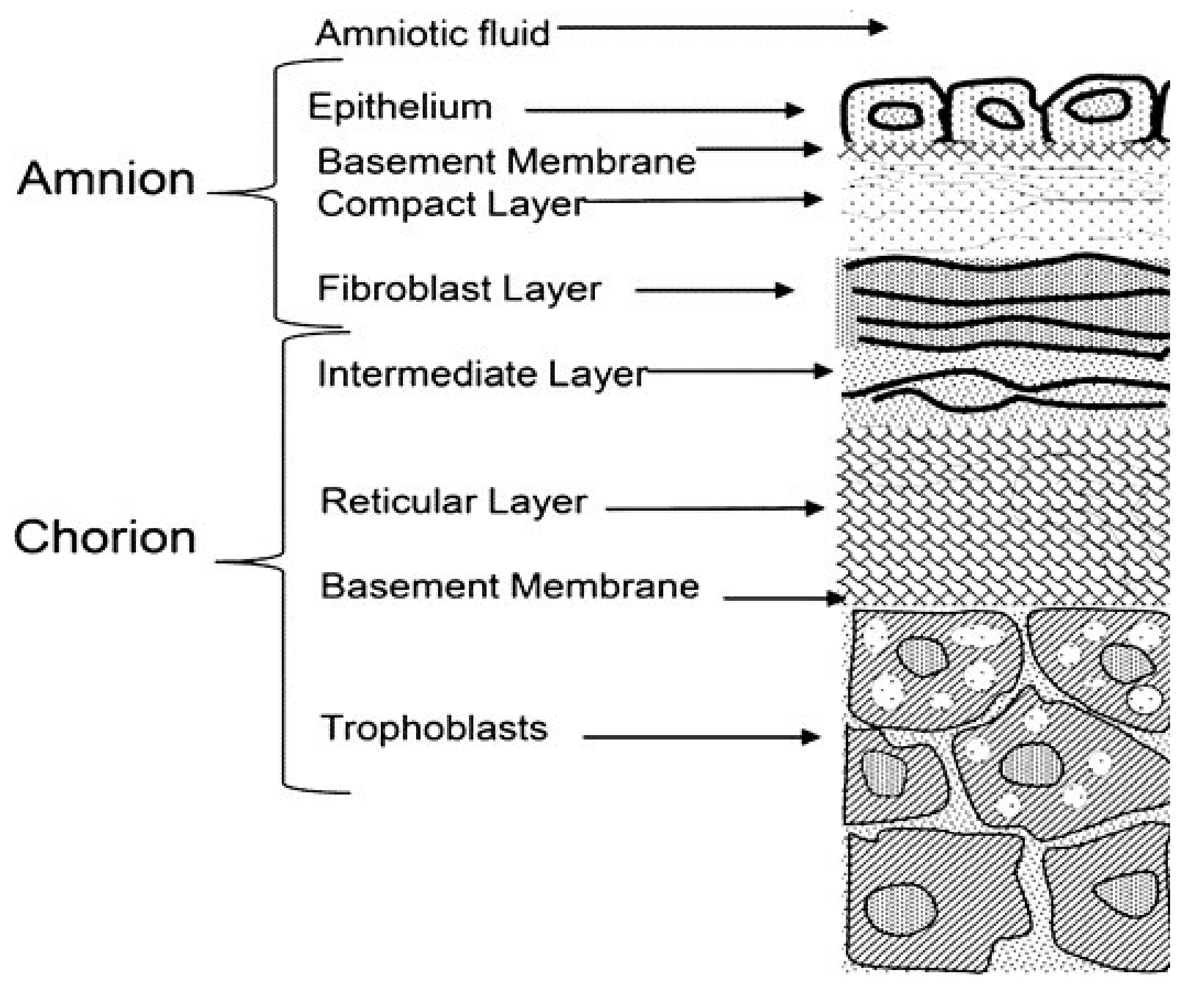 Materials 14 00863 g001
