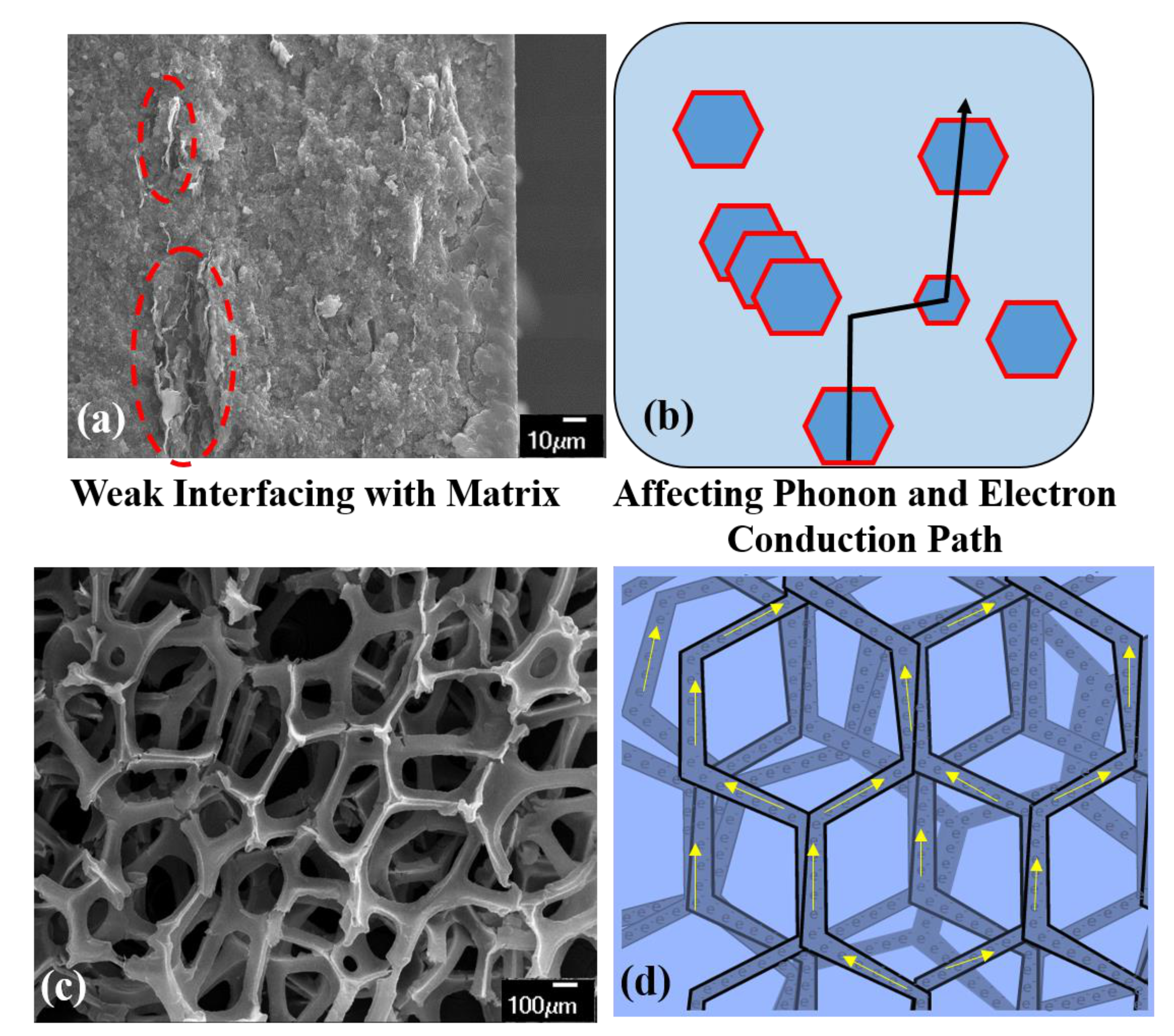 Materials 14 00864 g003 Materials 14 00864 g003
