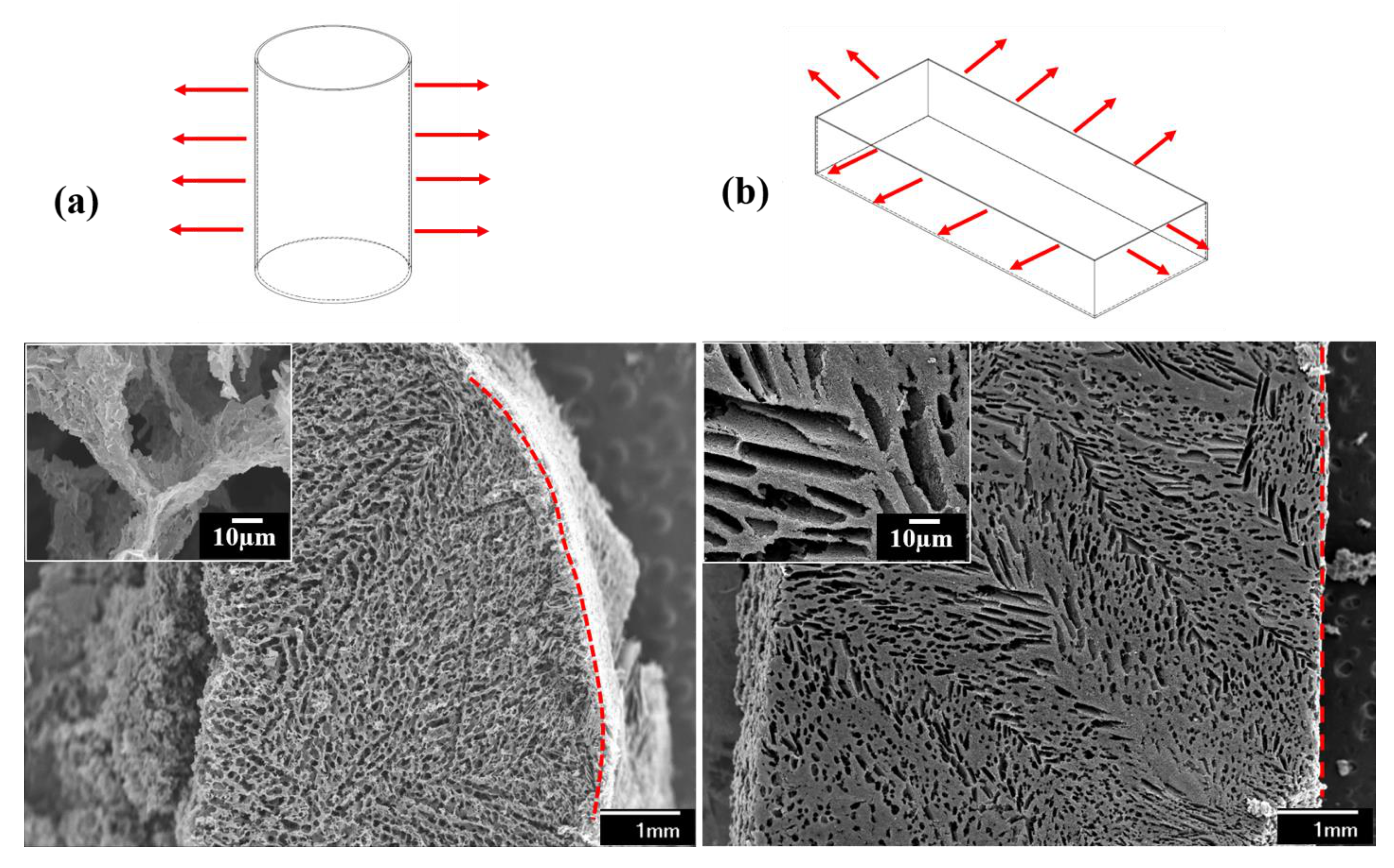Materials 14 00864 g007 Materials 14 00864 g007