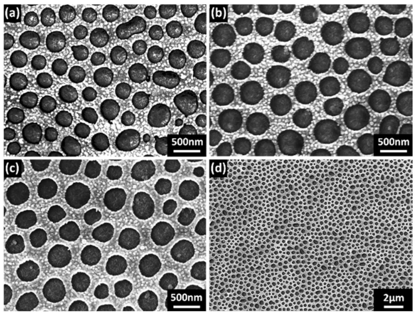 Materials 14 00867 g005 Materials 14 00867 g005