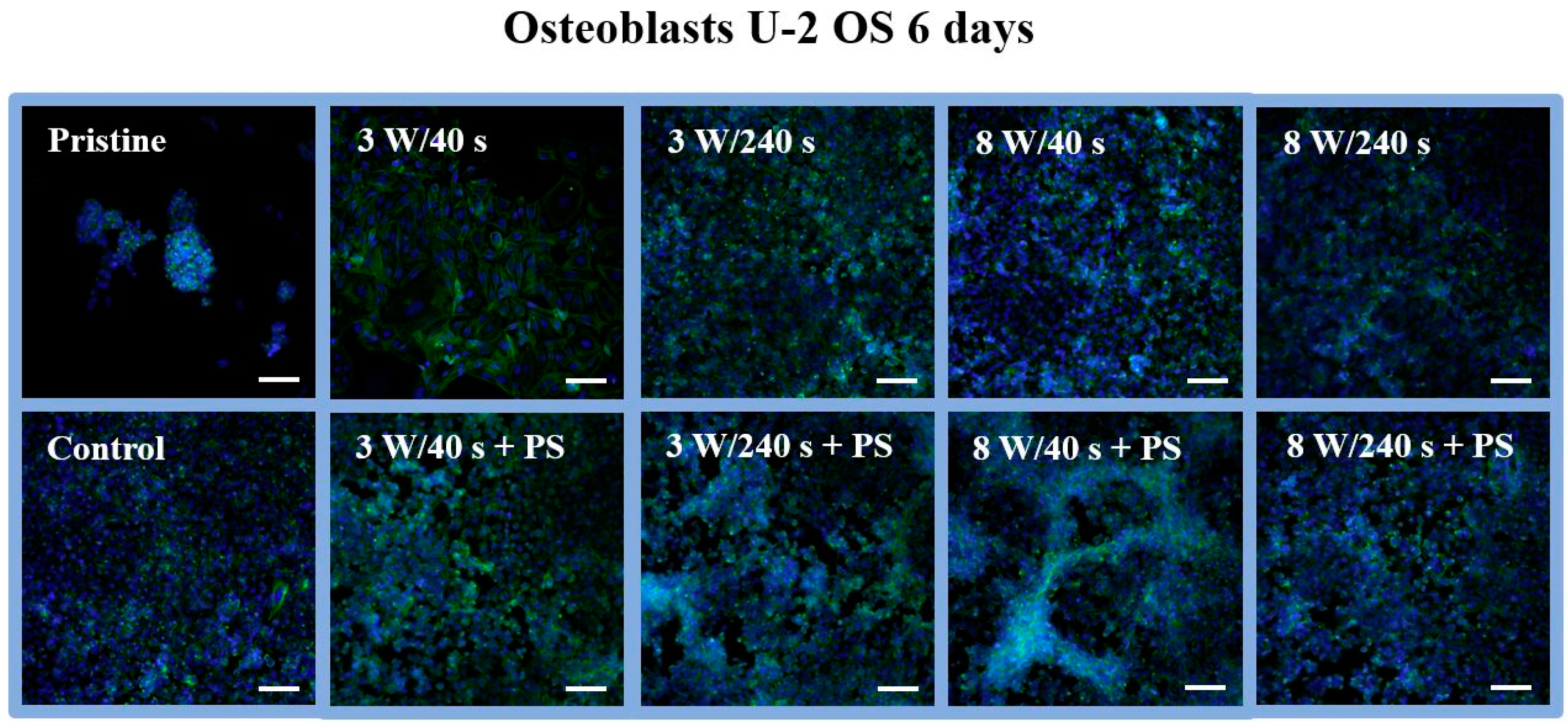 Materials 14 00889 g010 Materials 14 00889 g010