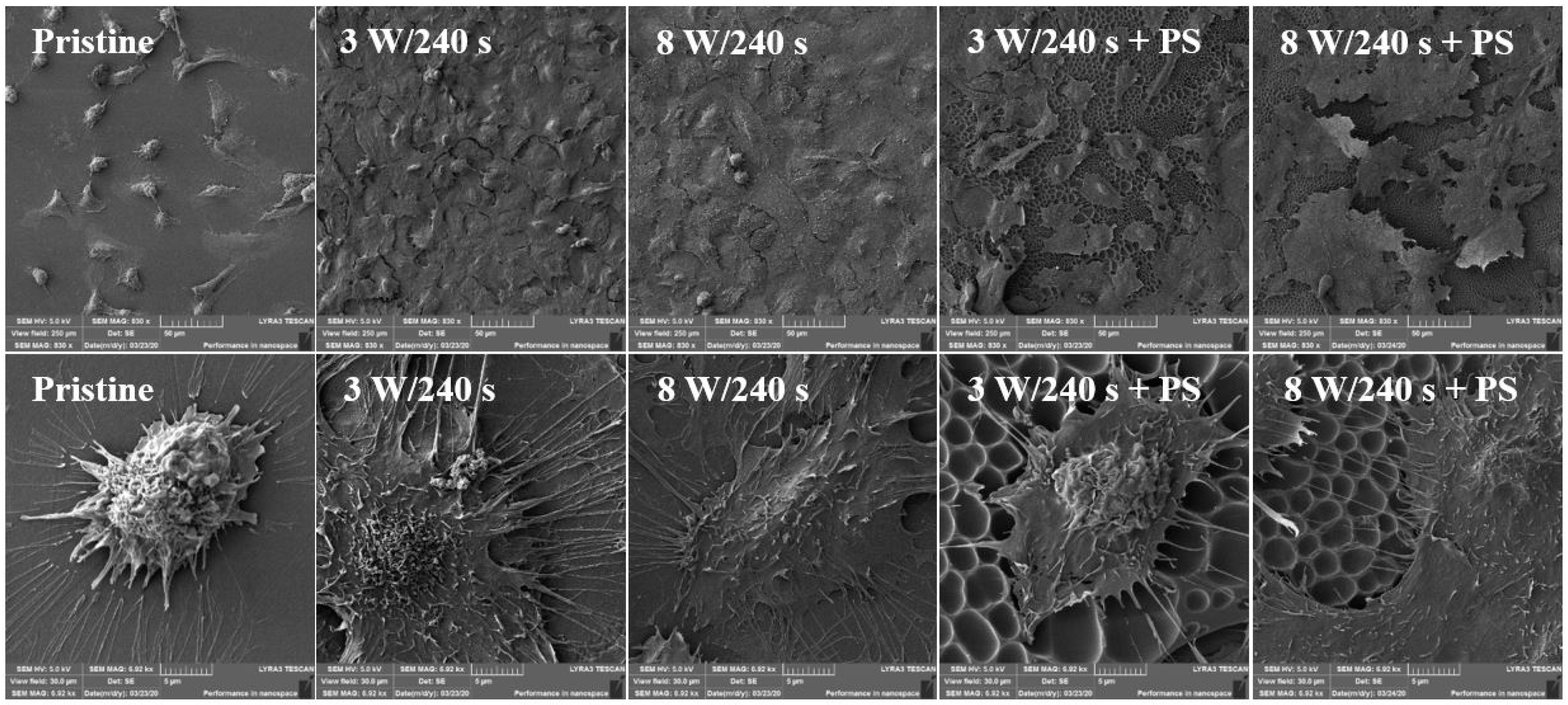 Materials 14 00889 g011 Materials 14 00889 g011