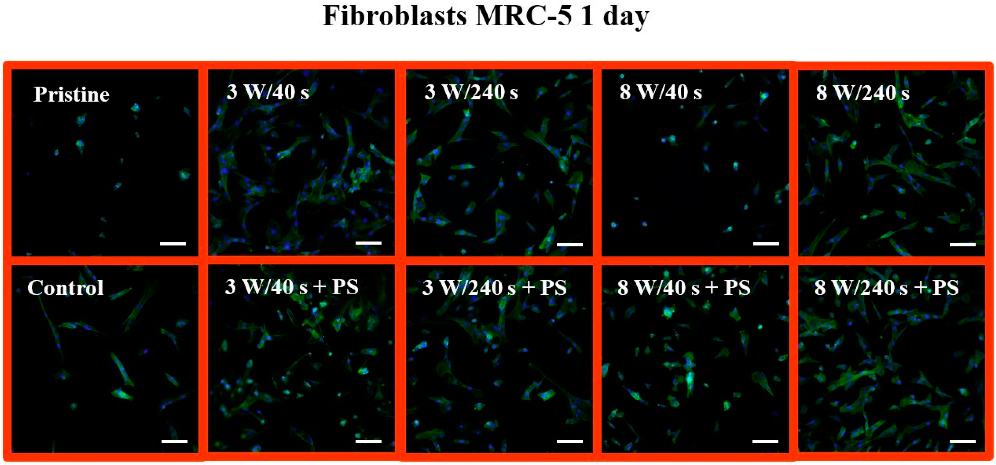 Materials 14 00889 g013 Materials 14 00889 g013