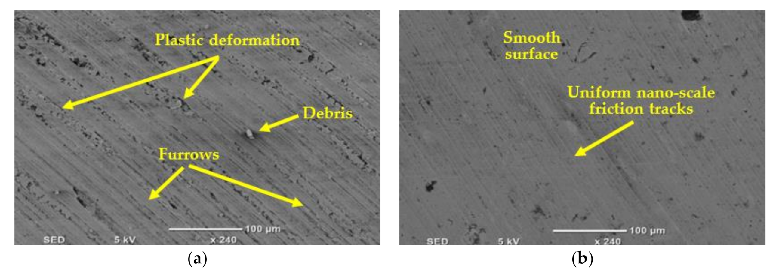 Materials 14 00903 g013
