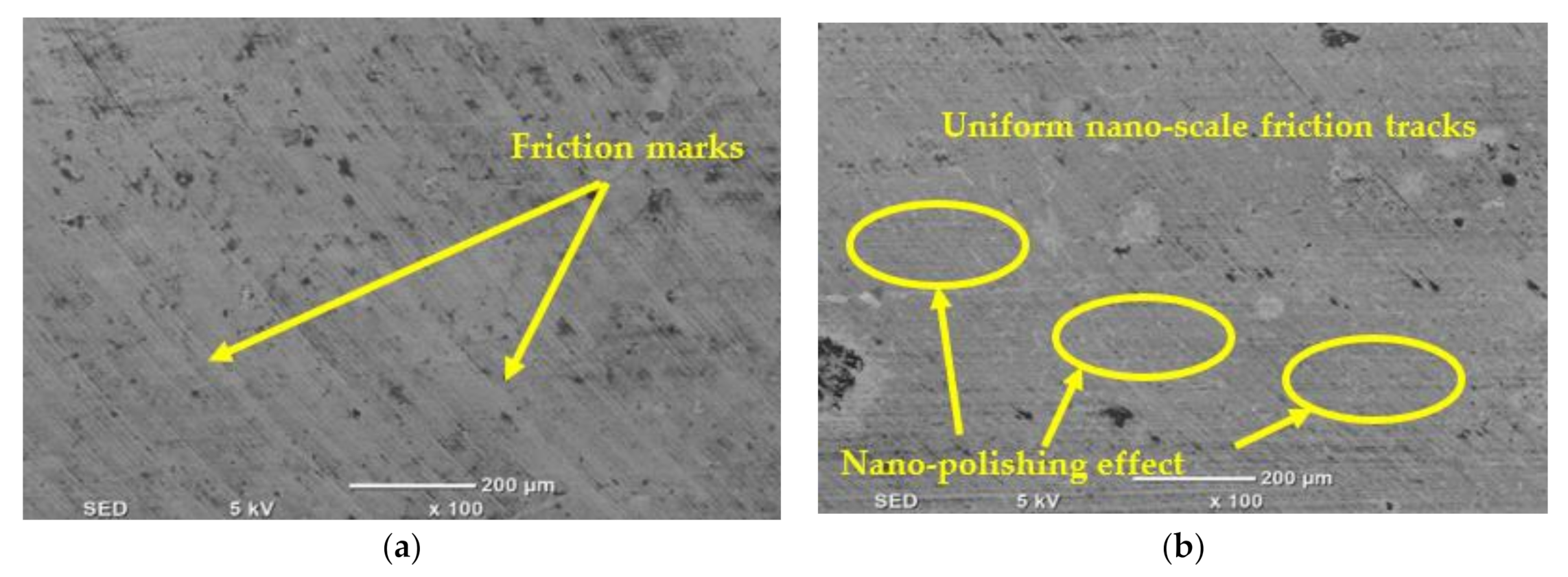 Materials 14 00903 g014