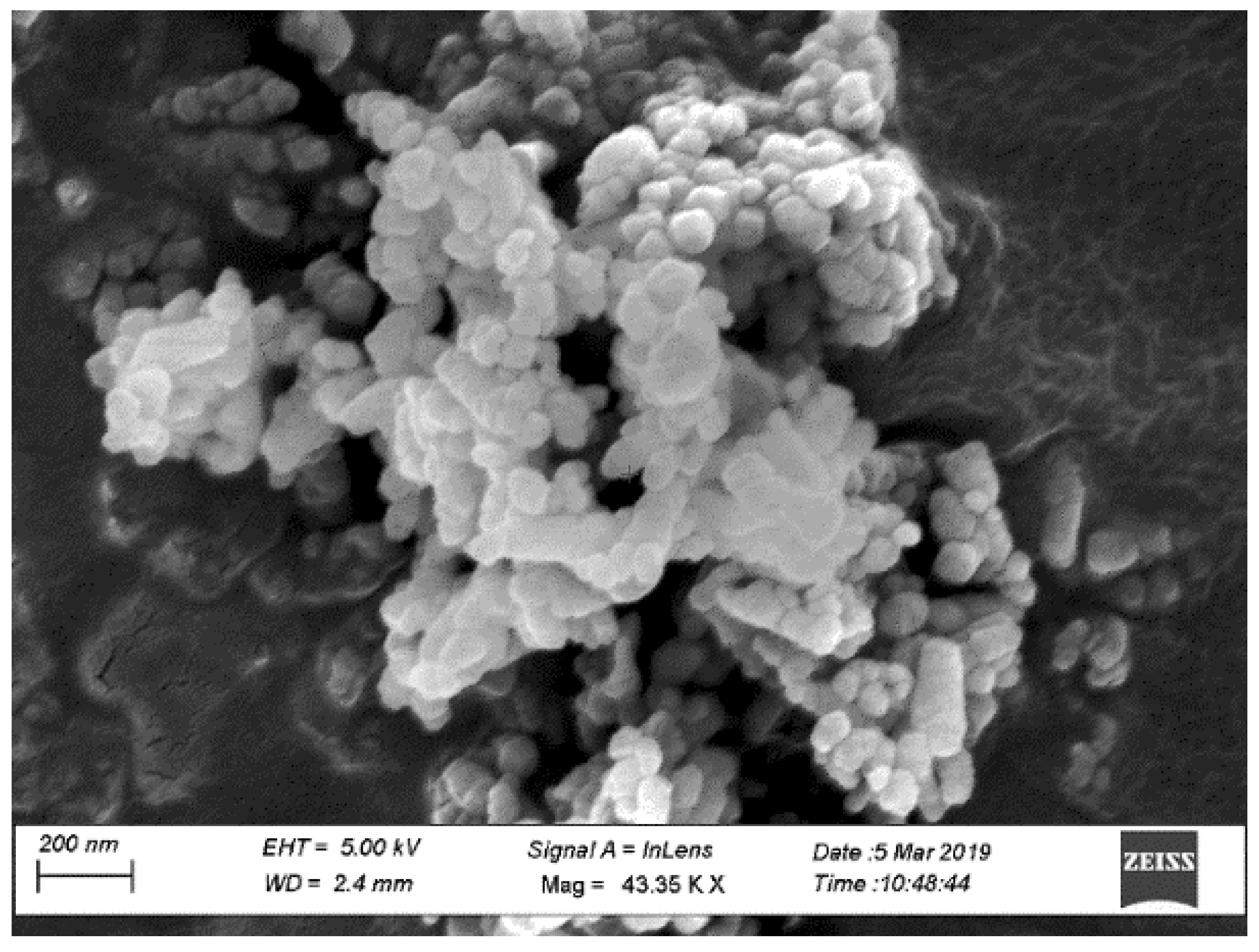 Materials 14 00905 g002 Materials 14 00905 g002