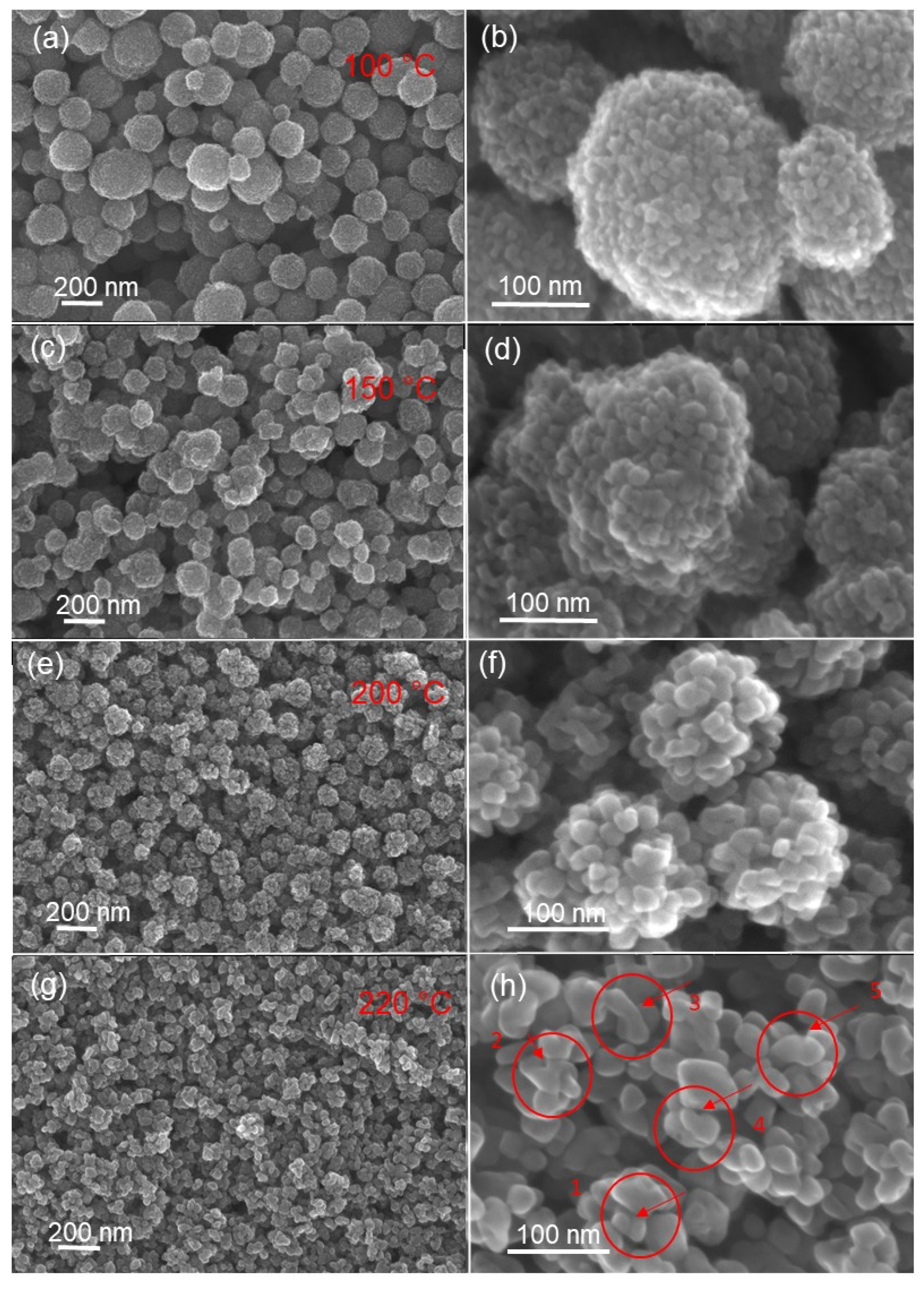 Materials 14 00916 g004