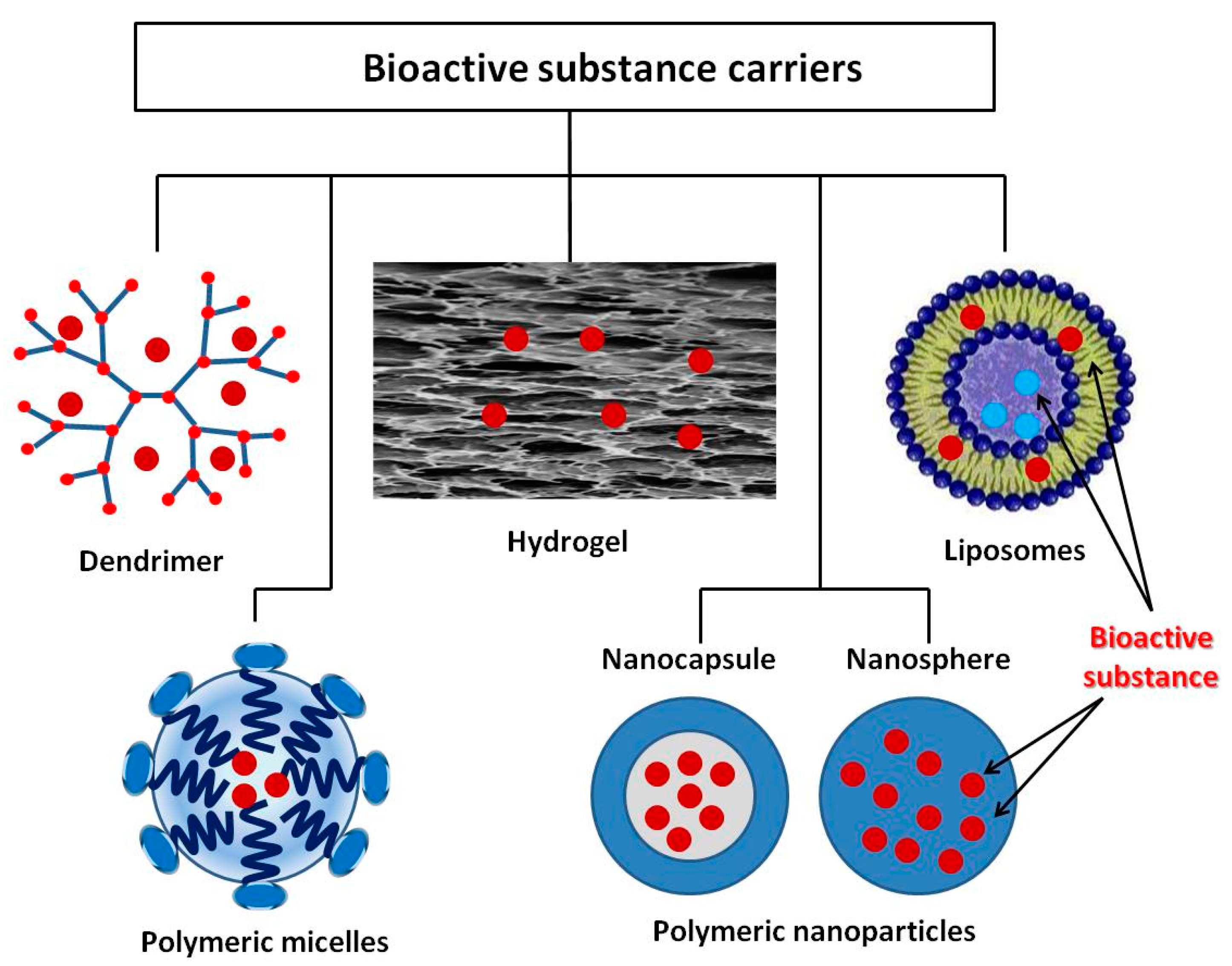 Materials 14 00930 g003 Materials 14 00930 g003