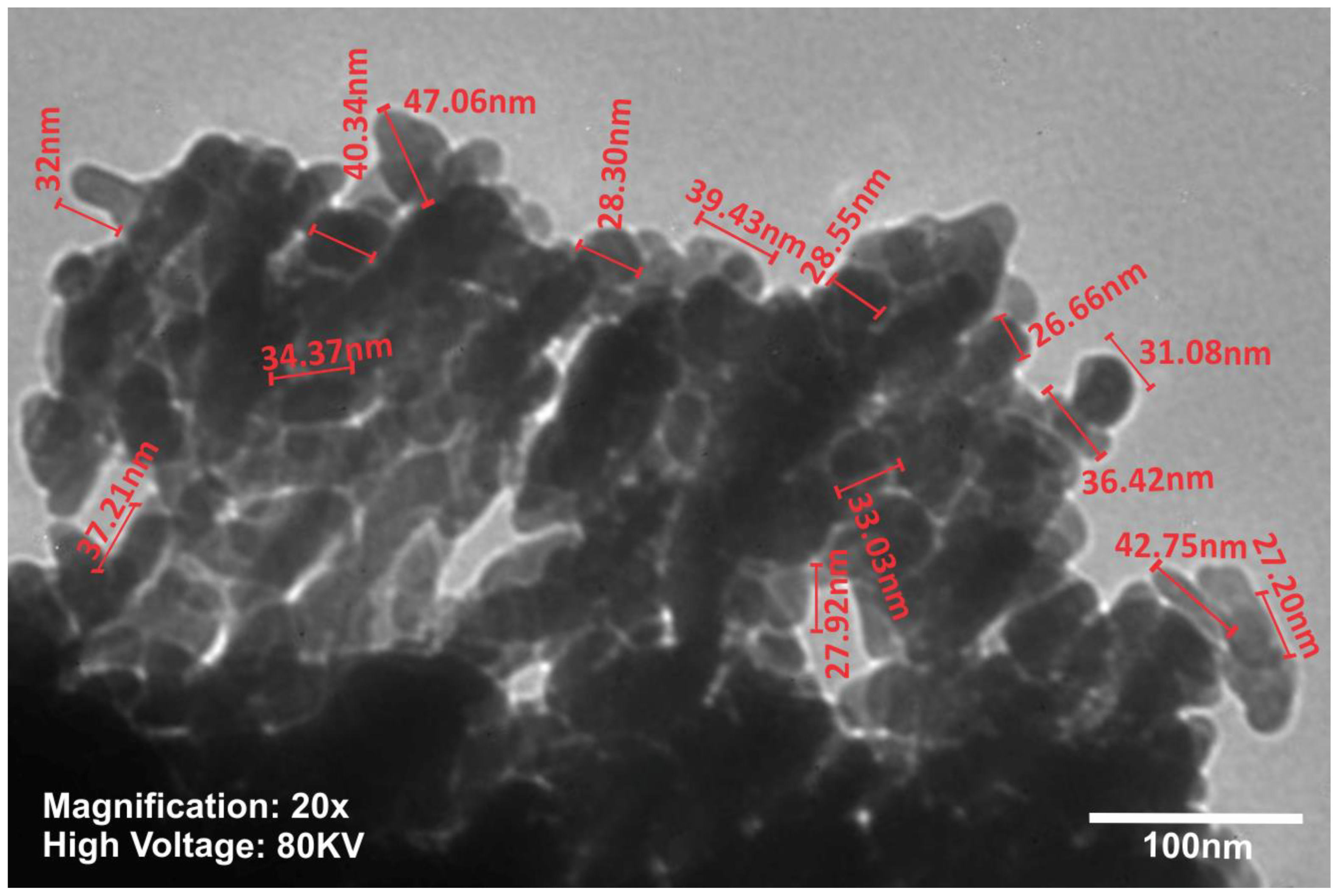 Materials 14 00931 g003 Materials 14 00931 g003