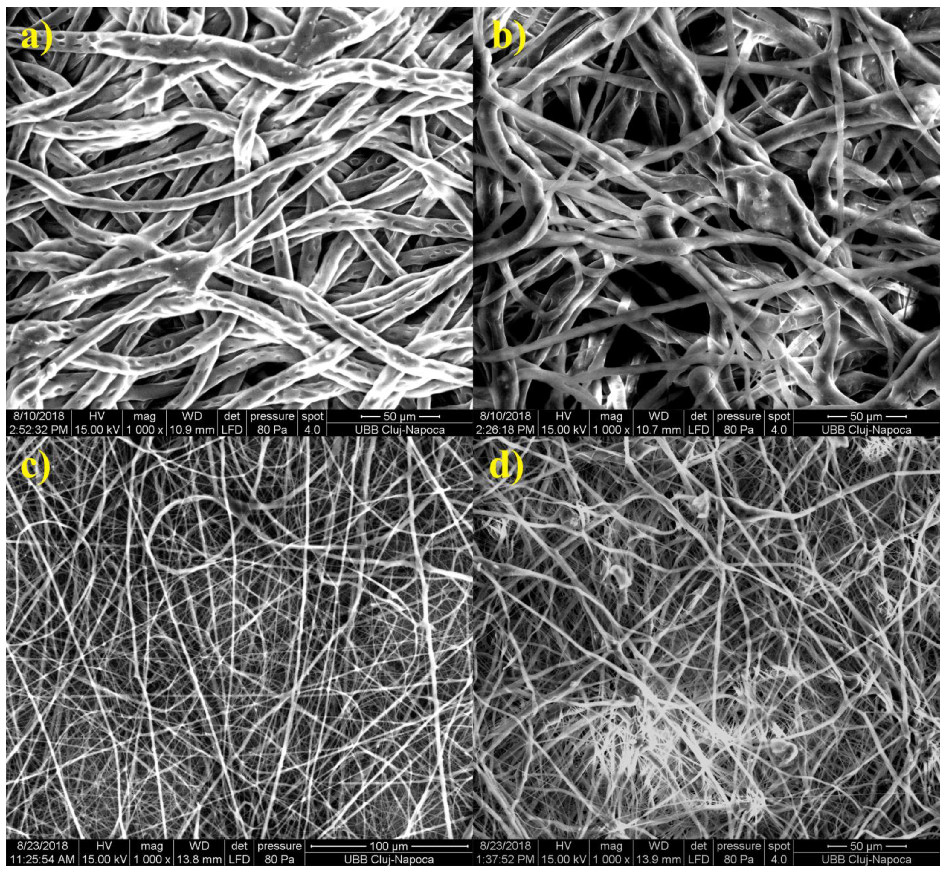 Materials 14 00931 g004 Materials 14 00931 g004