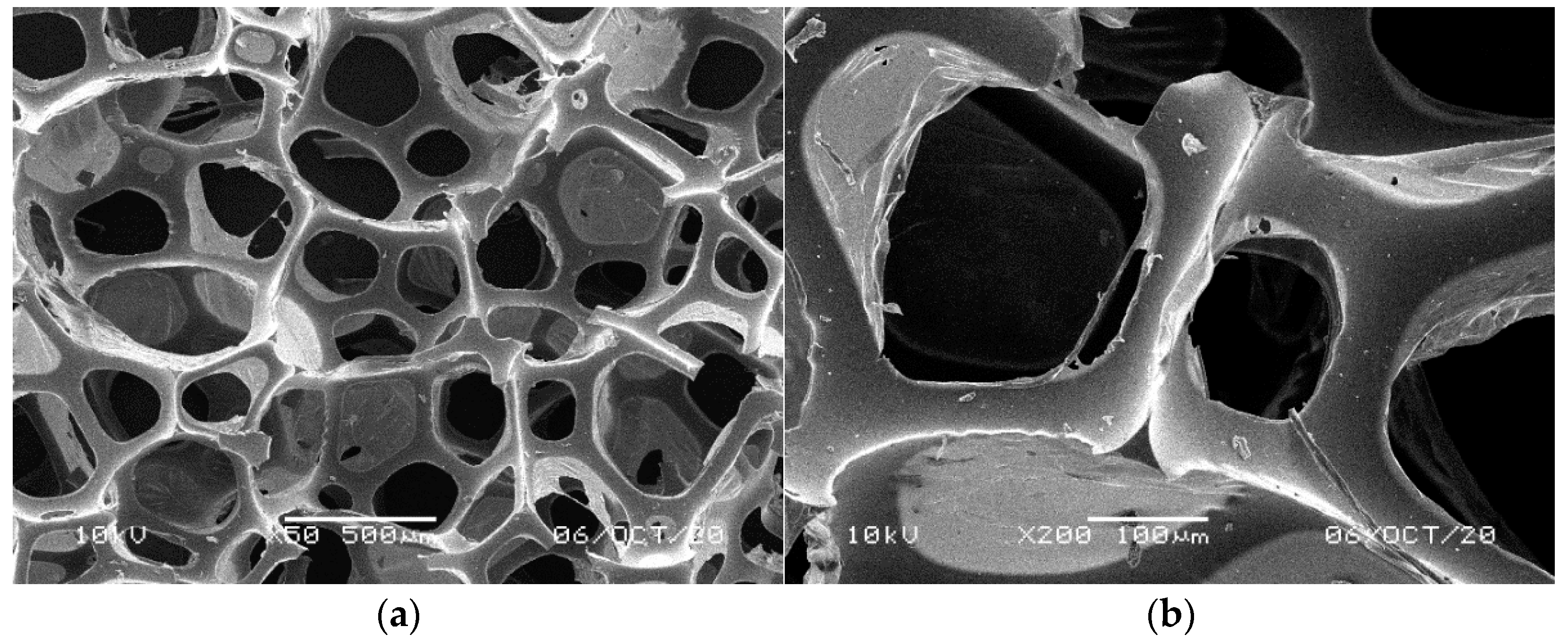 Materials 14 00933 g001