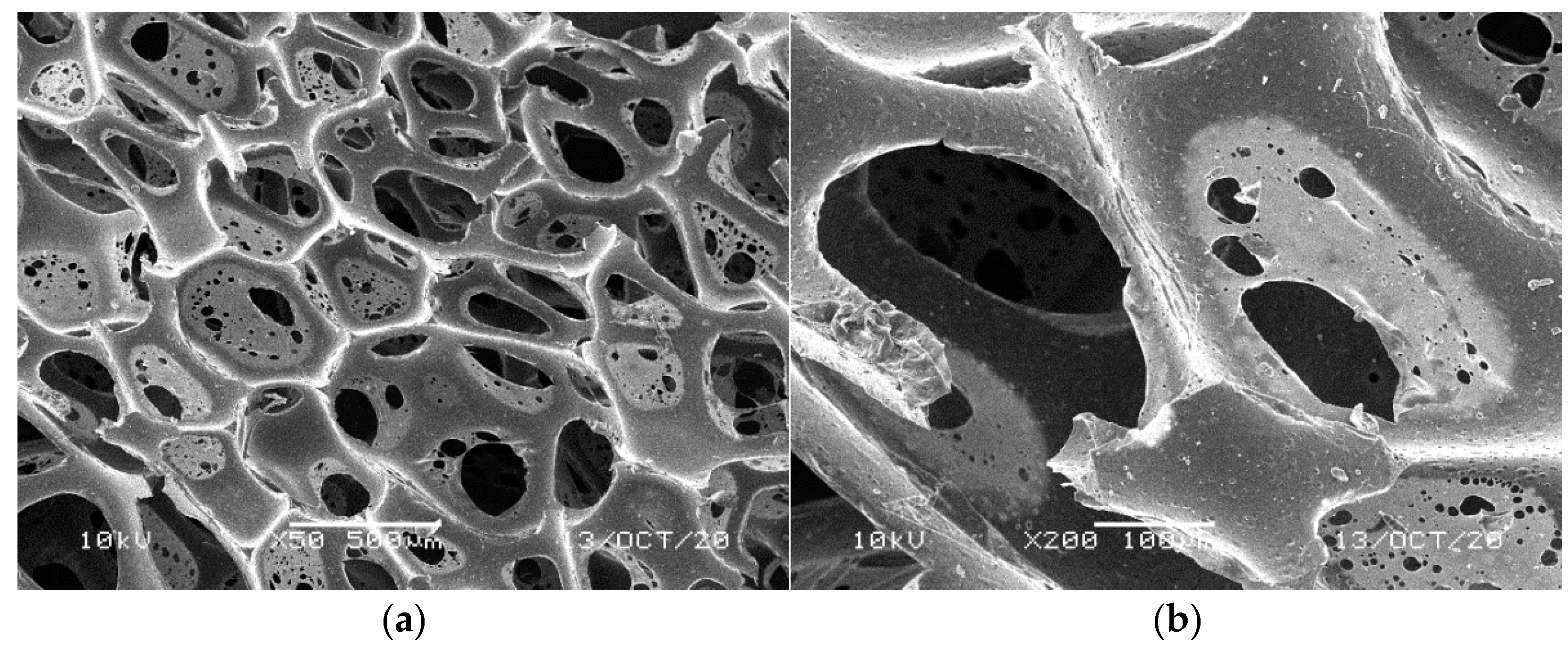 Materials 14 00933 g004