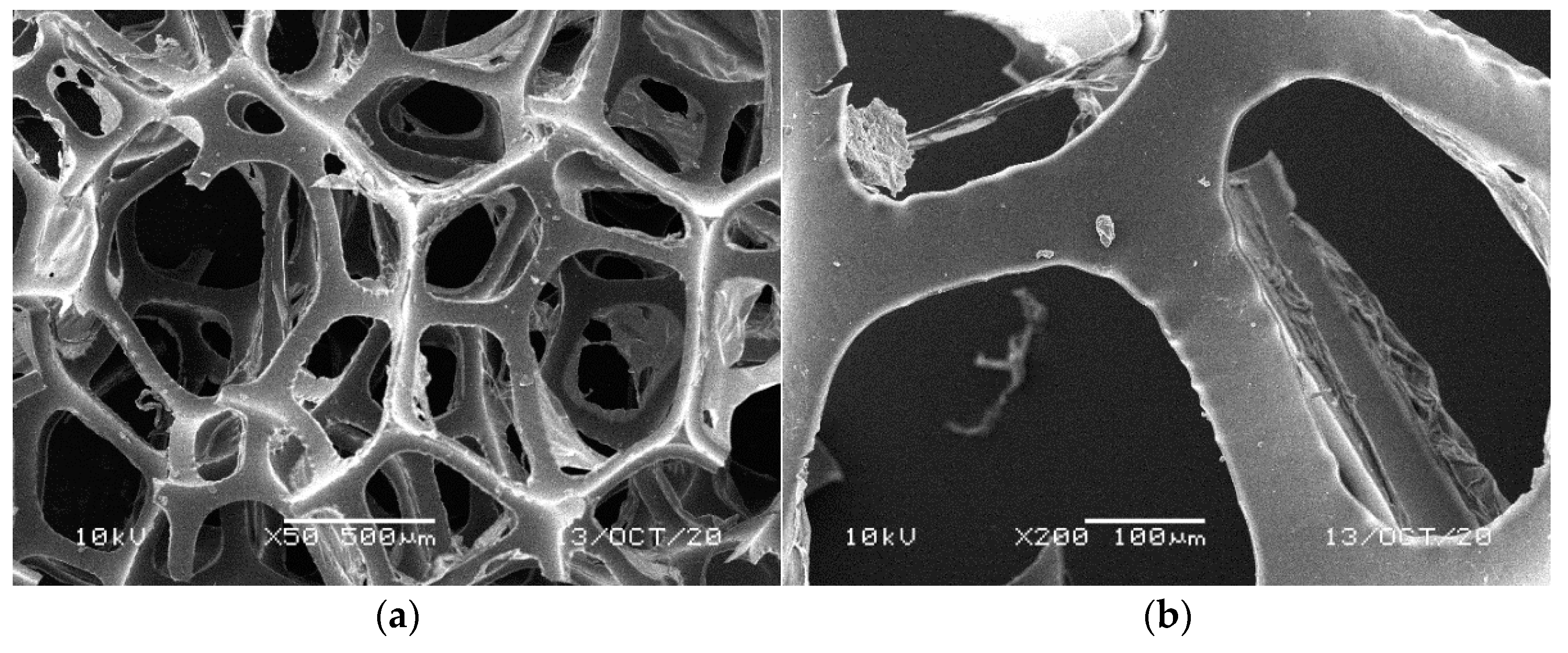 Materials 14 00933 g005