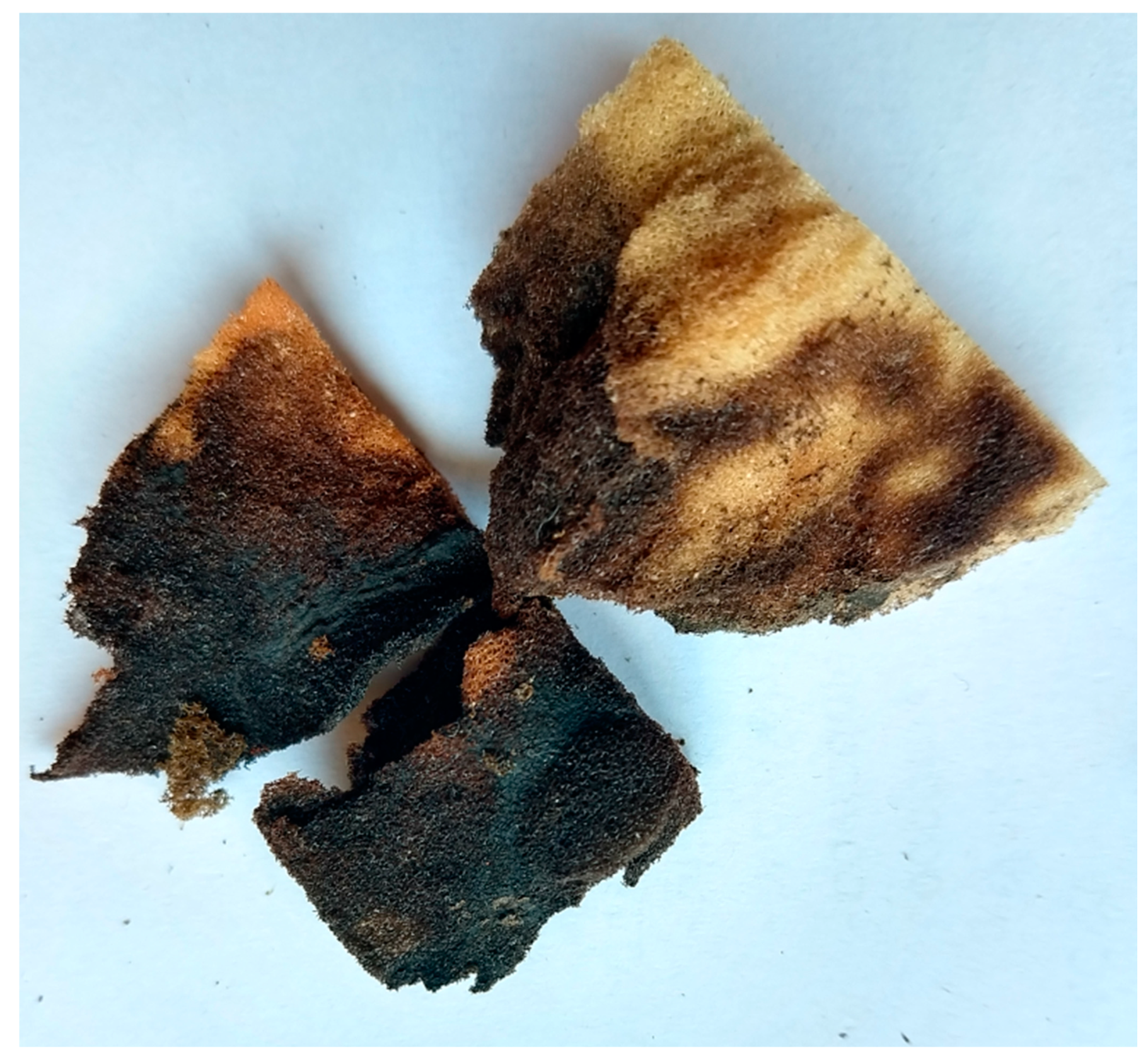 Materials 14 00933 g007