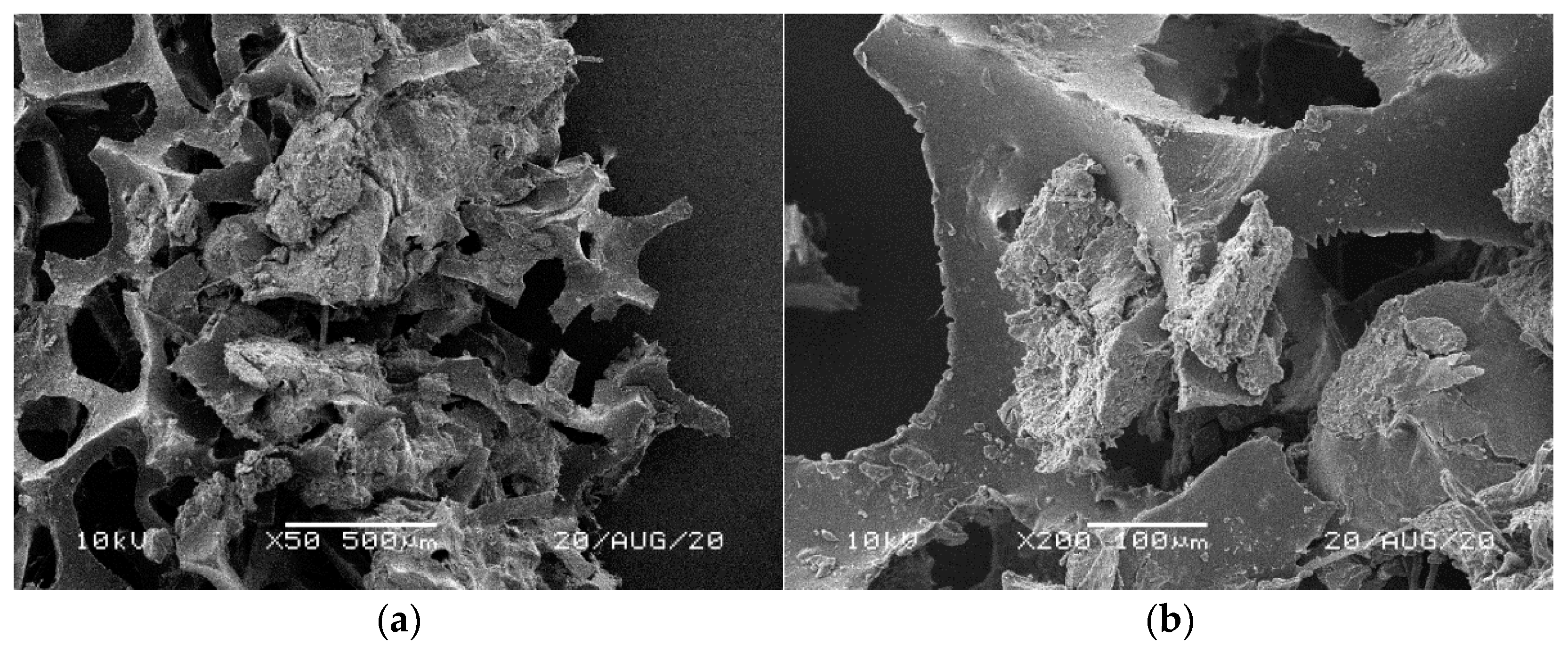 Materials 14 00933 g009