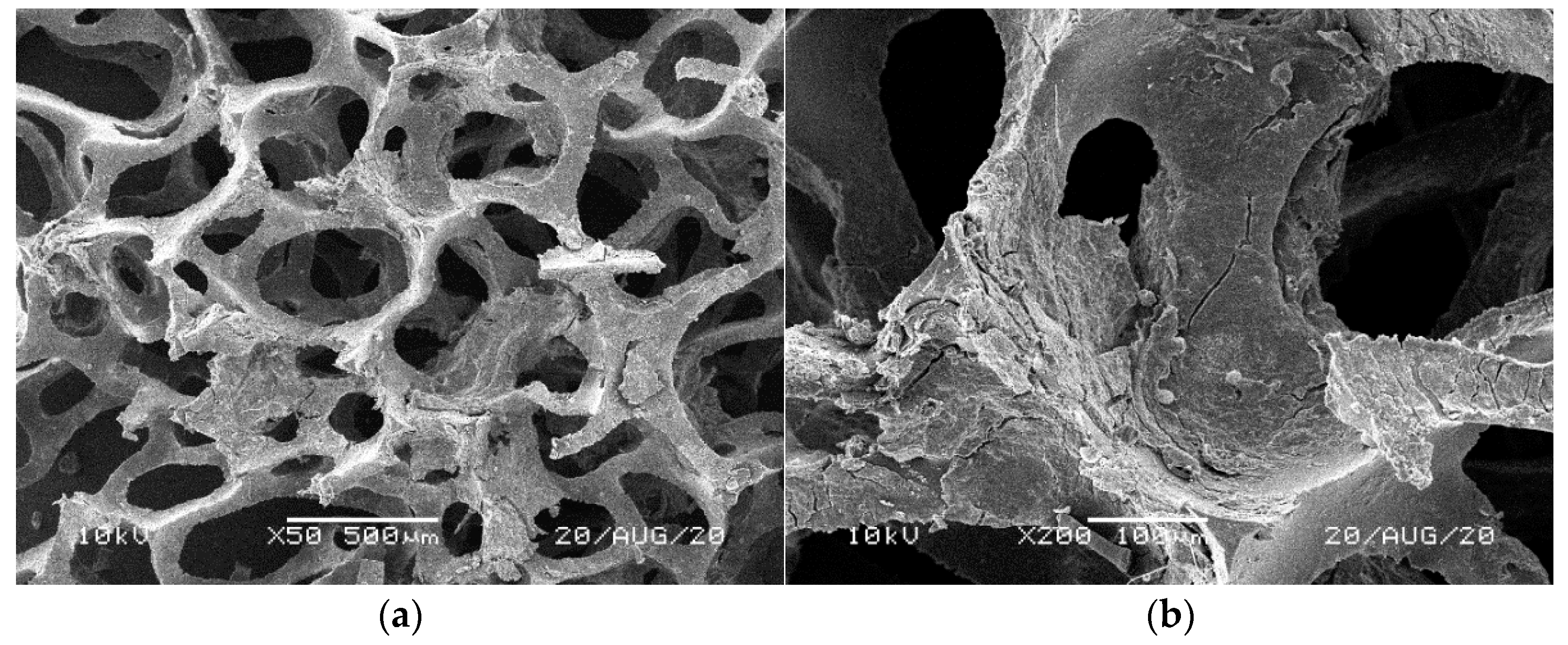 Materials 14 00933 g010