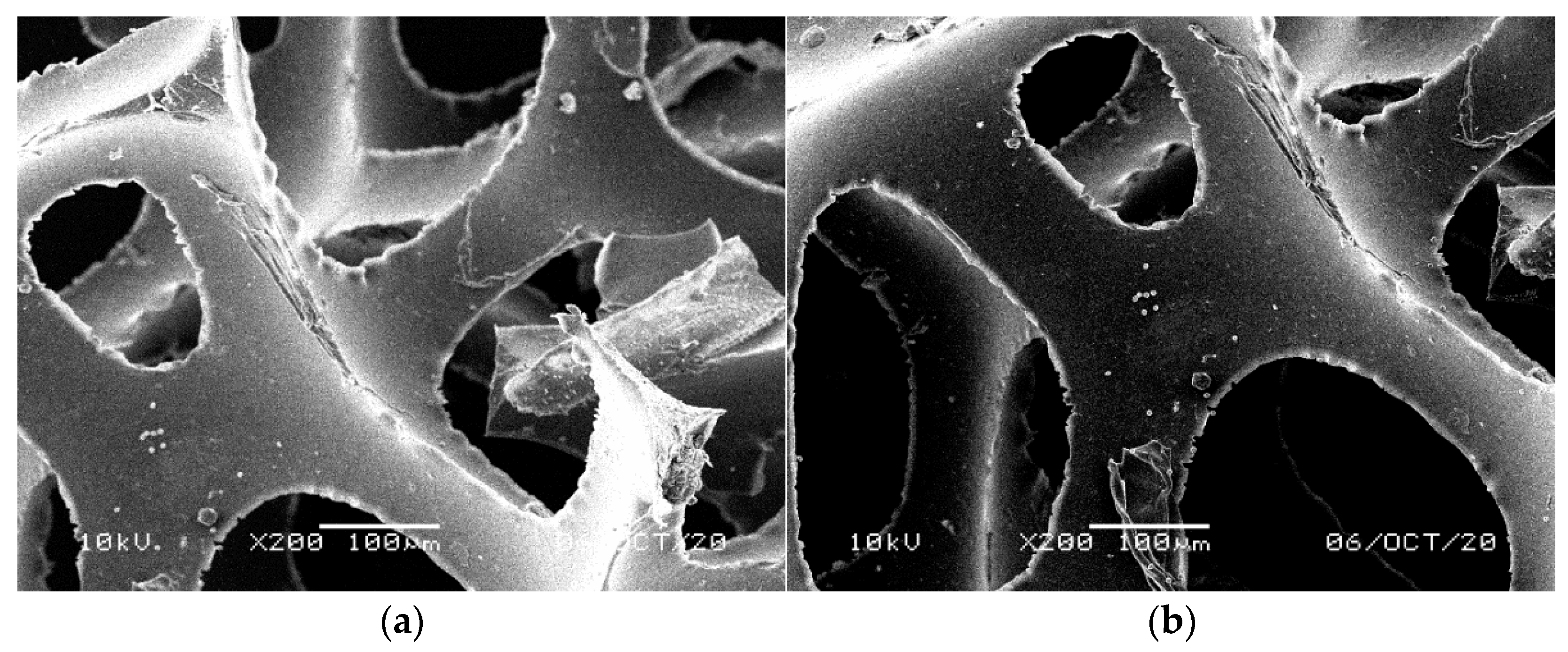 Materials 14 00933 g015