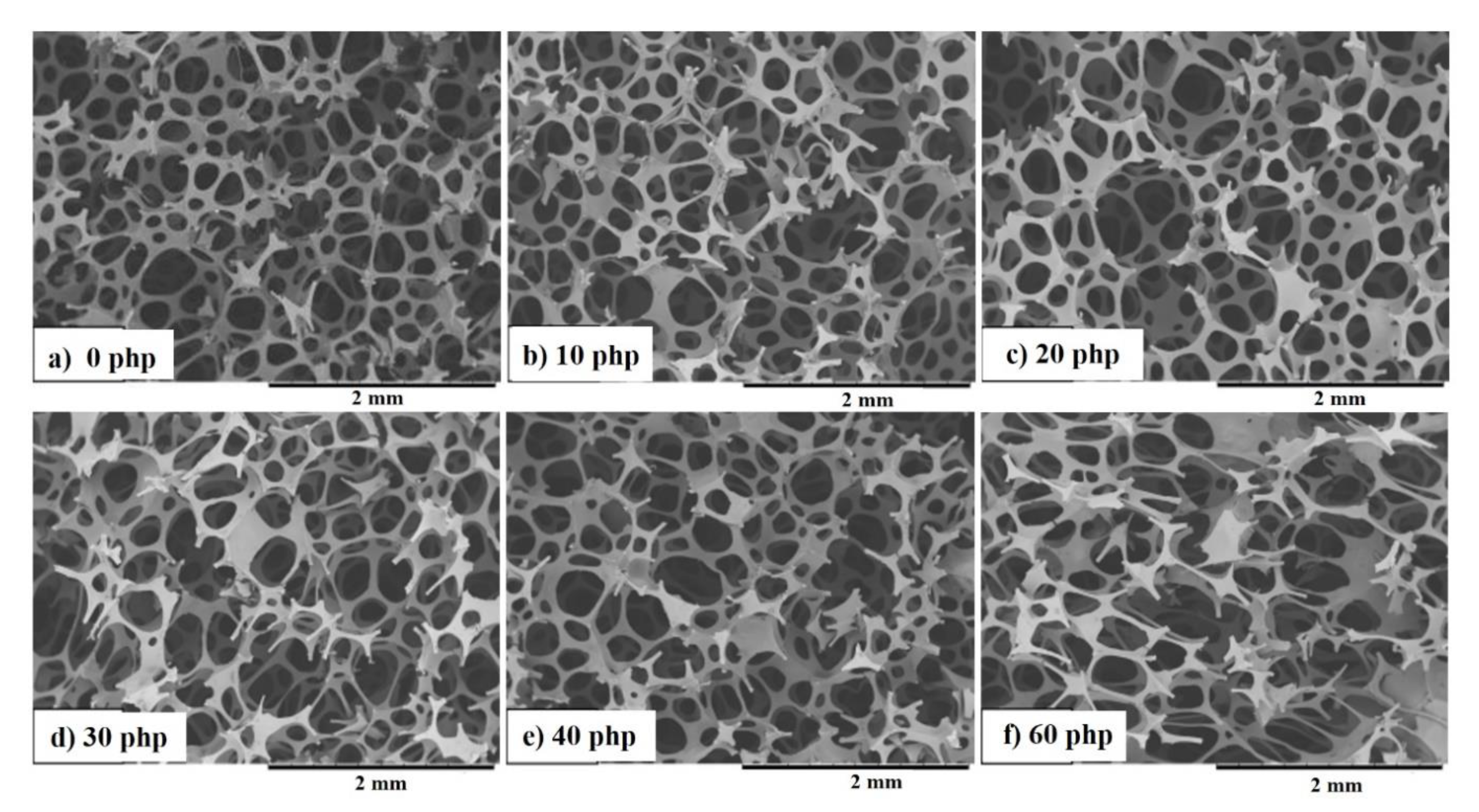 Materials 14 00934 g007