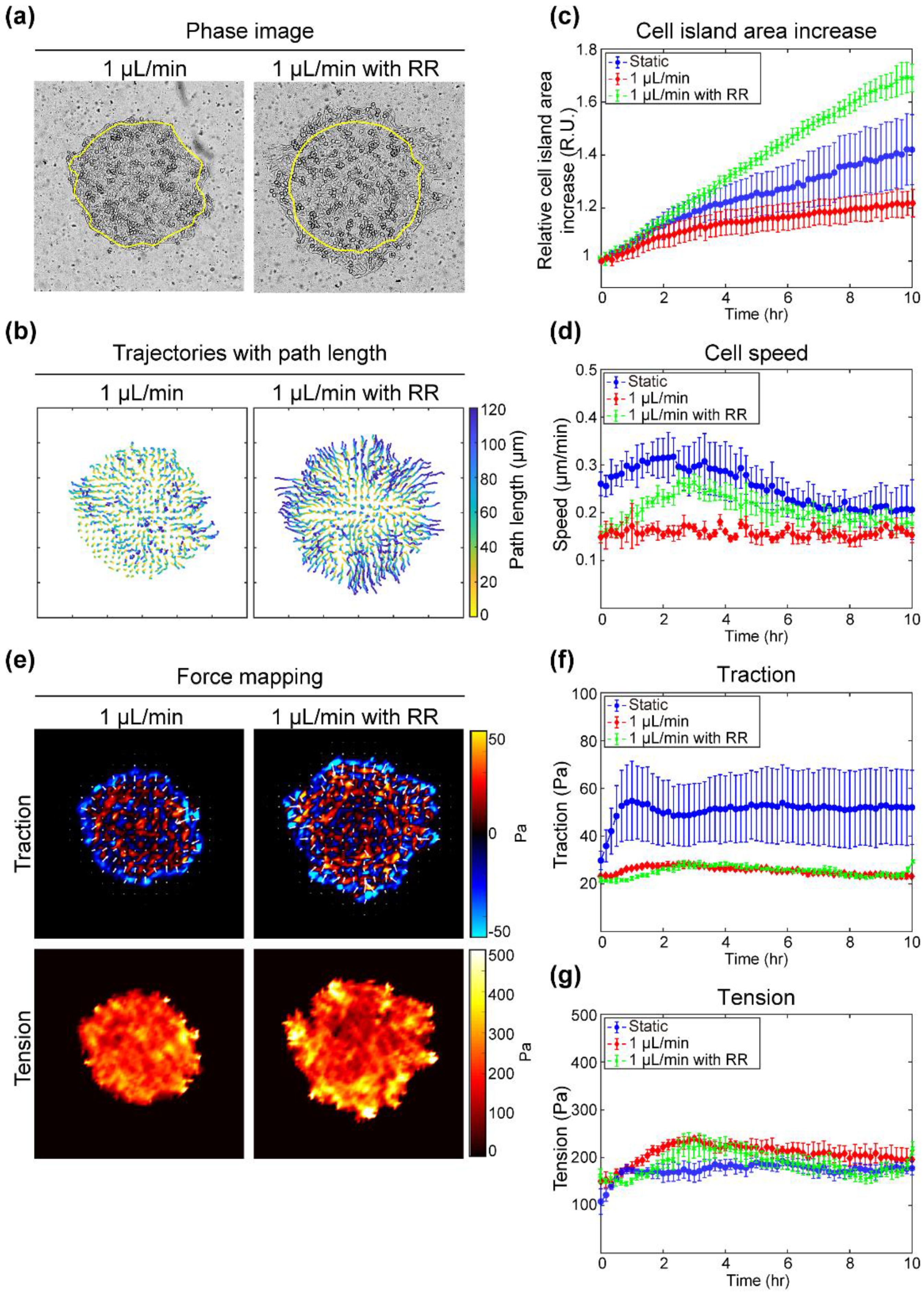 Materials 14 00935 g005