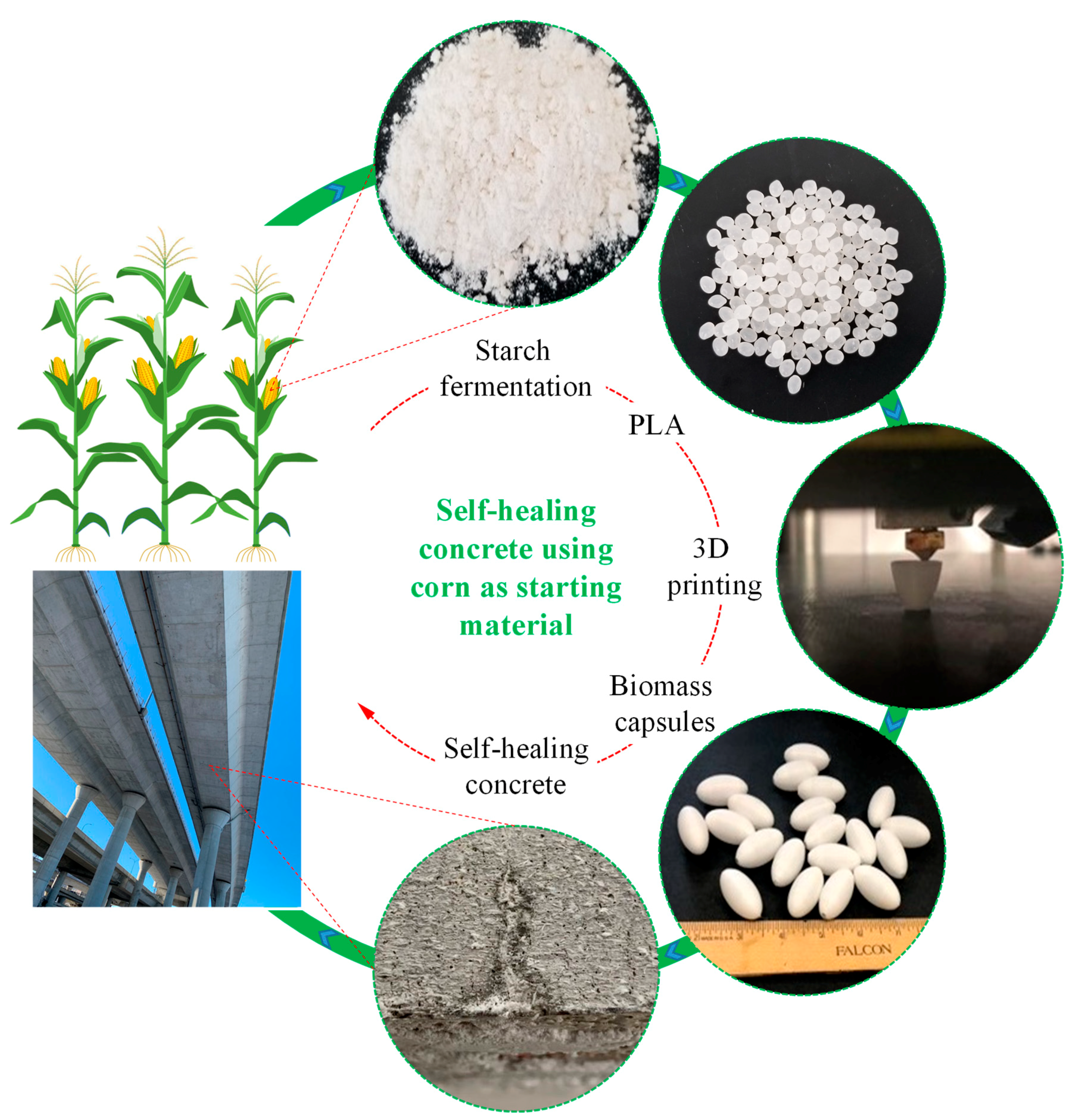 Materials 14 00958 g001