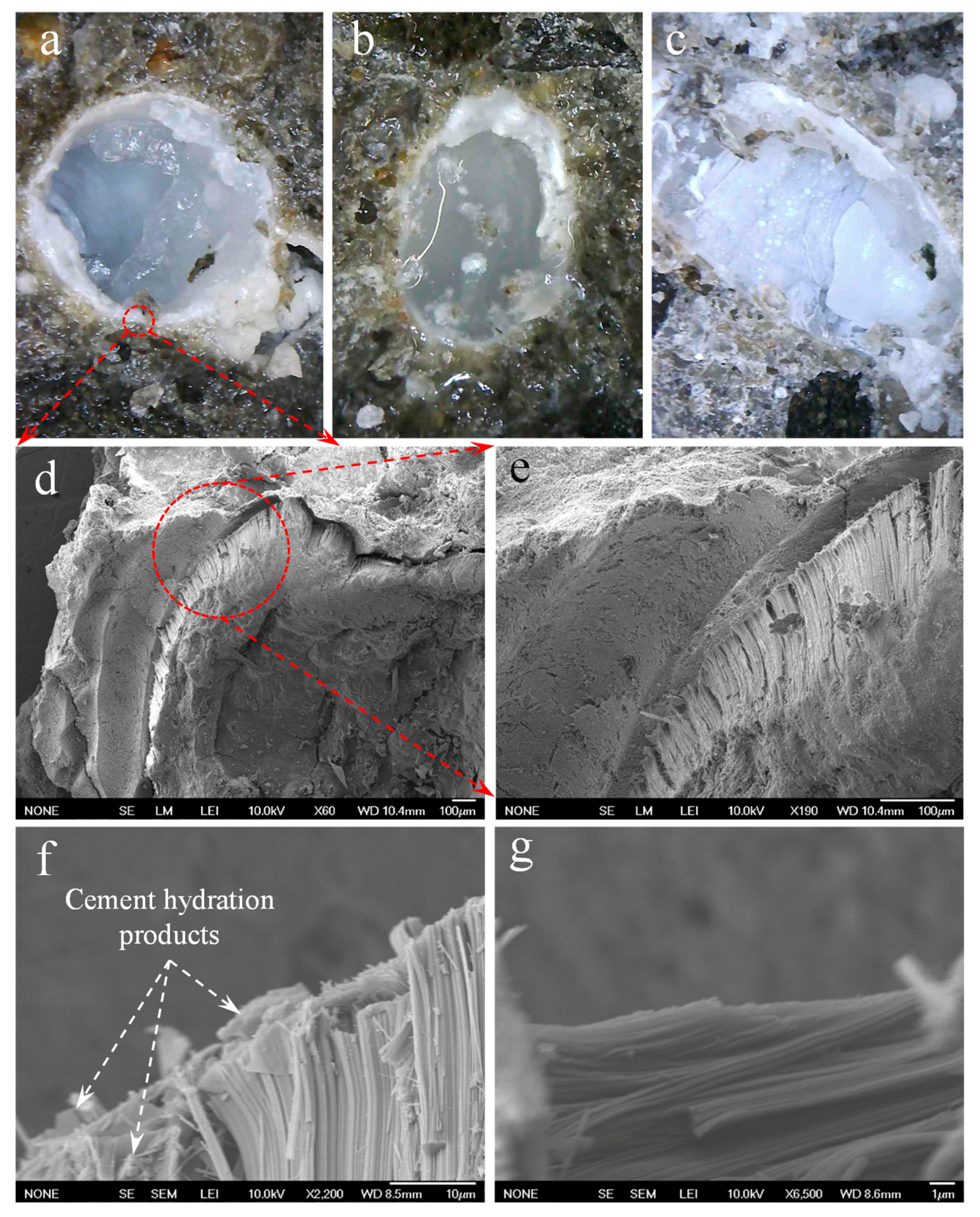Materials 14 00958 g016